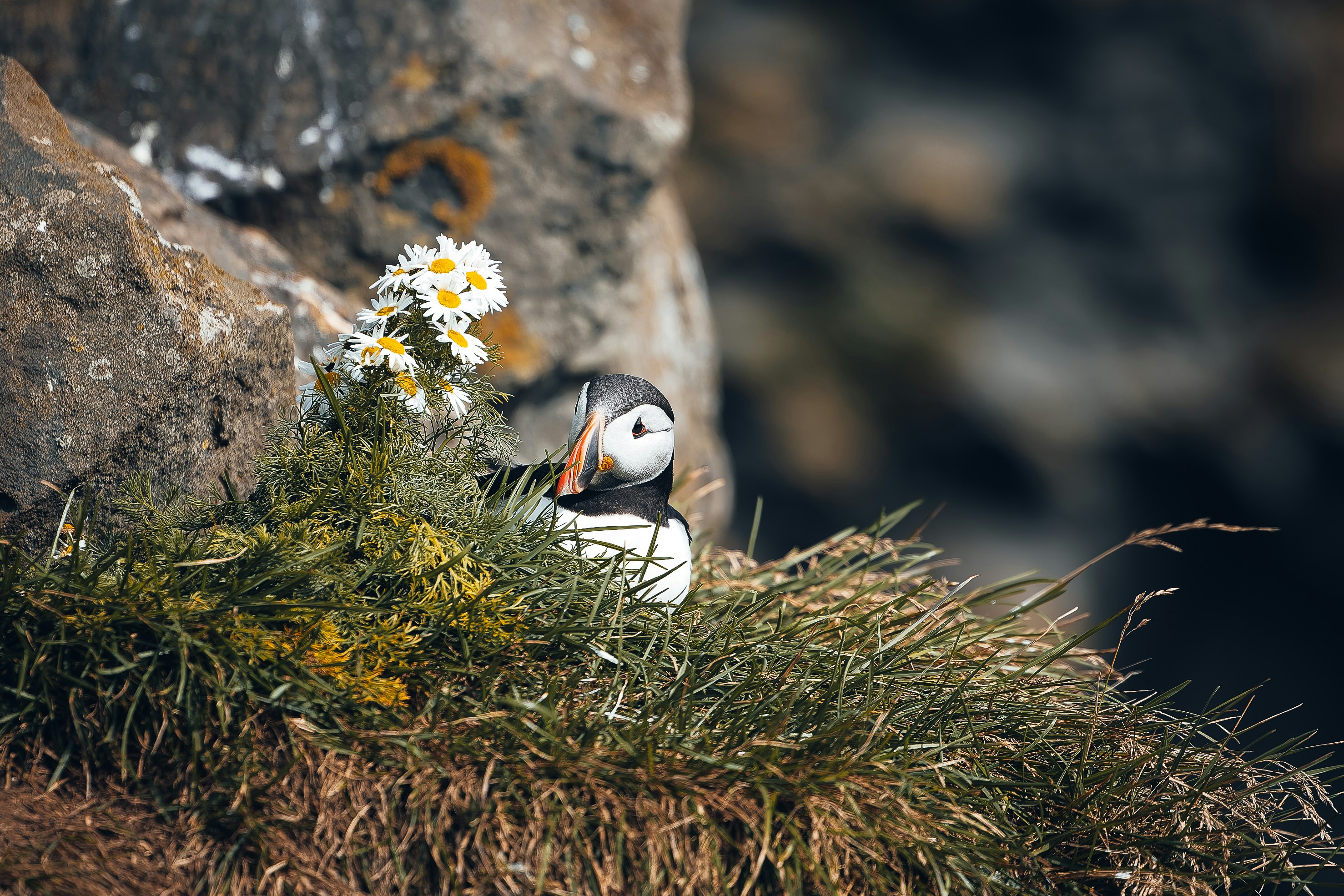 Photo by danny_rienecker