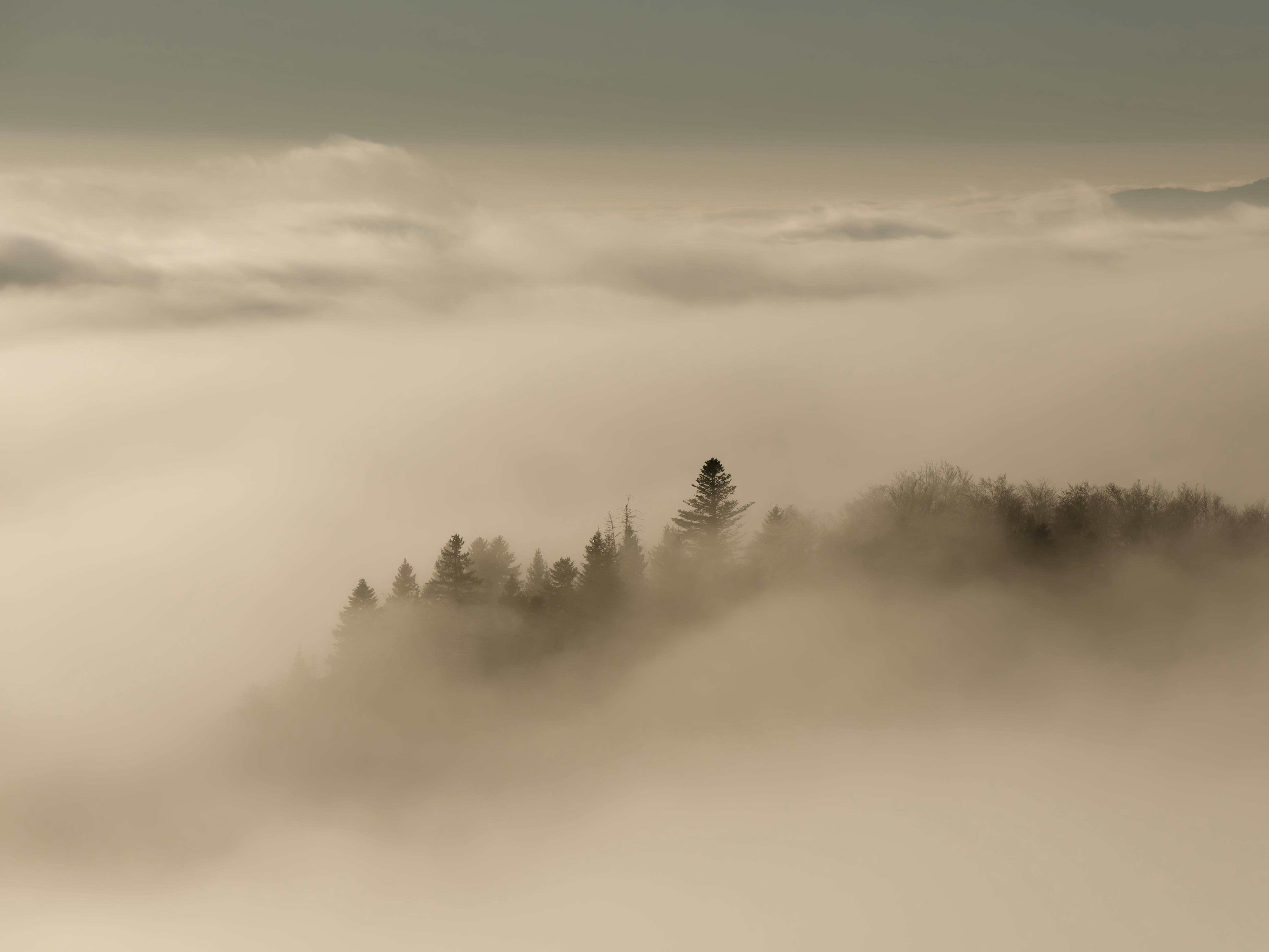 Photo by illes_cristi