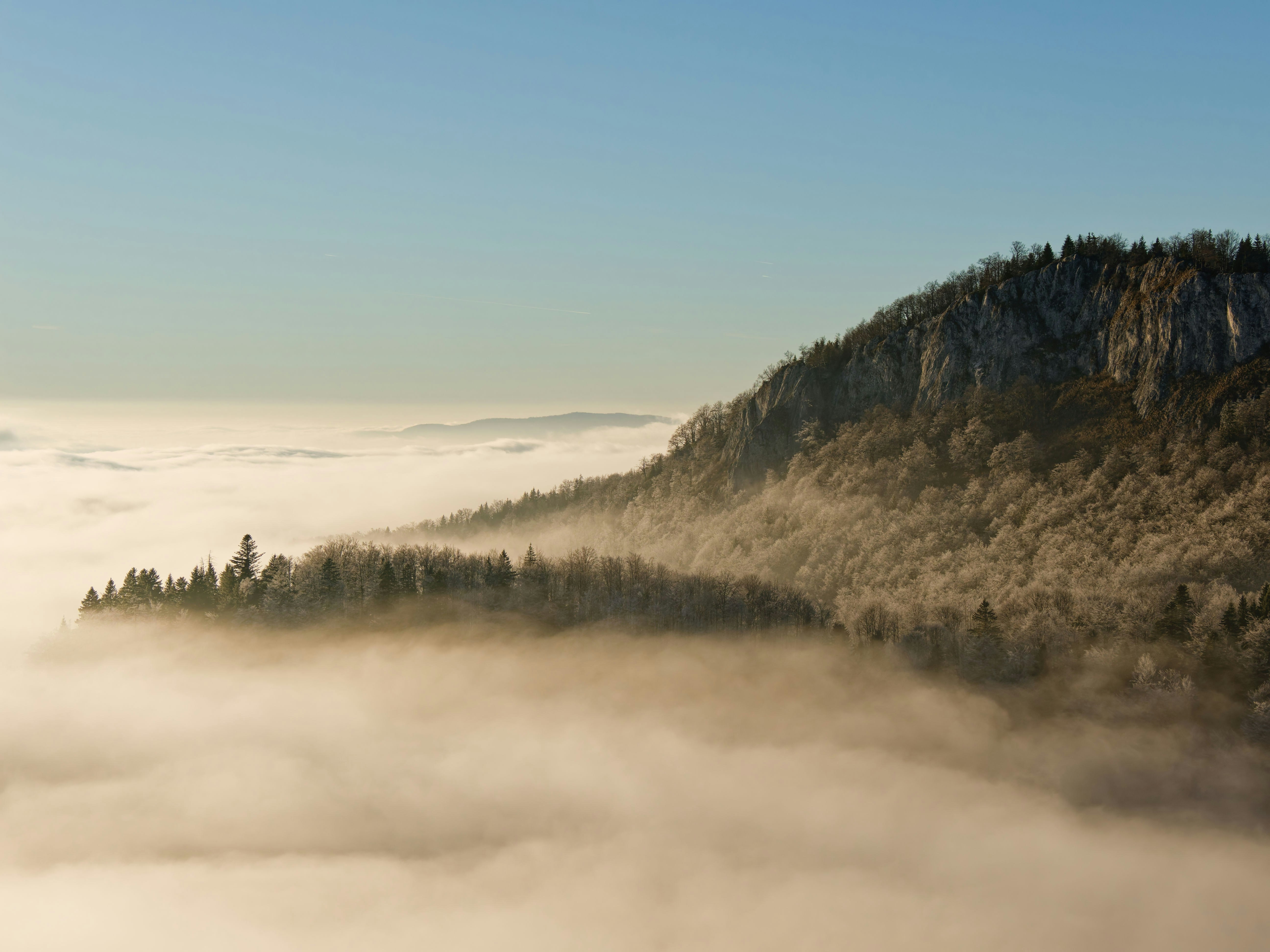 Photo by illes_cristi