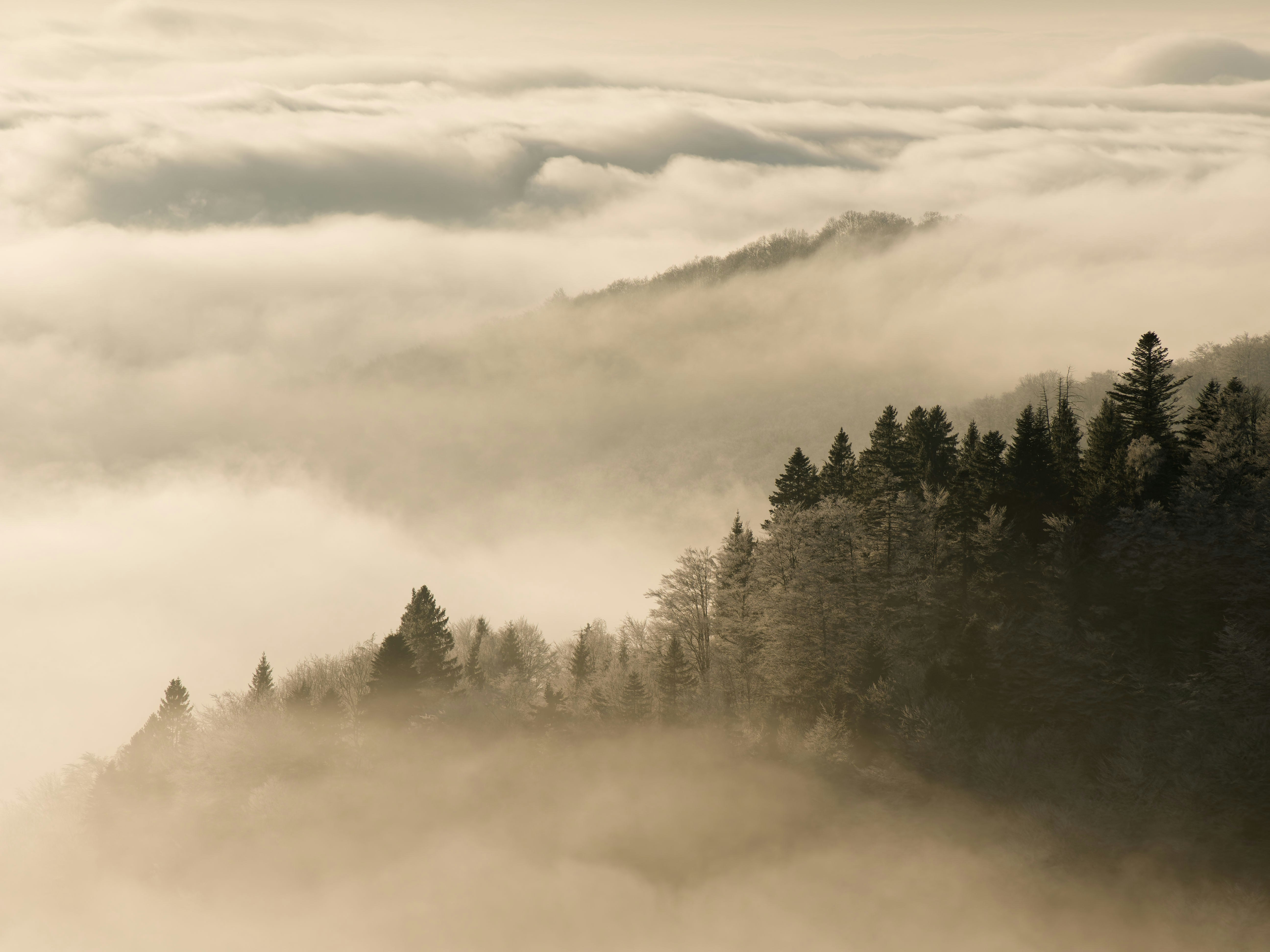 Photo by illes_cristi