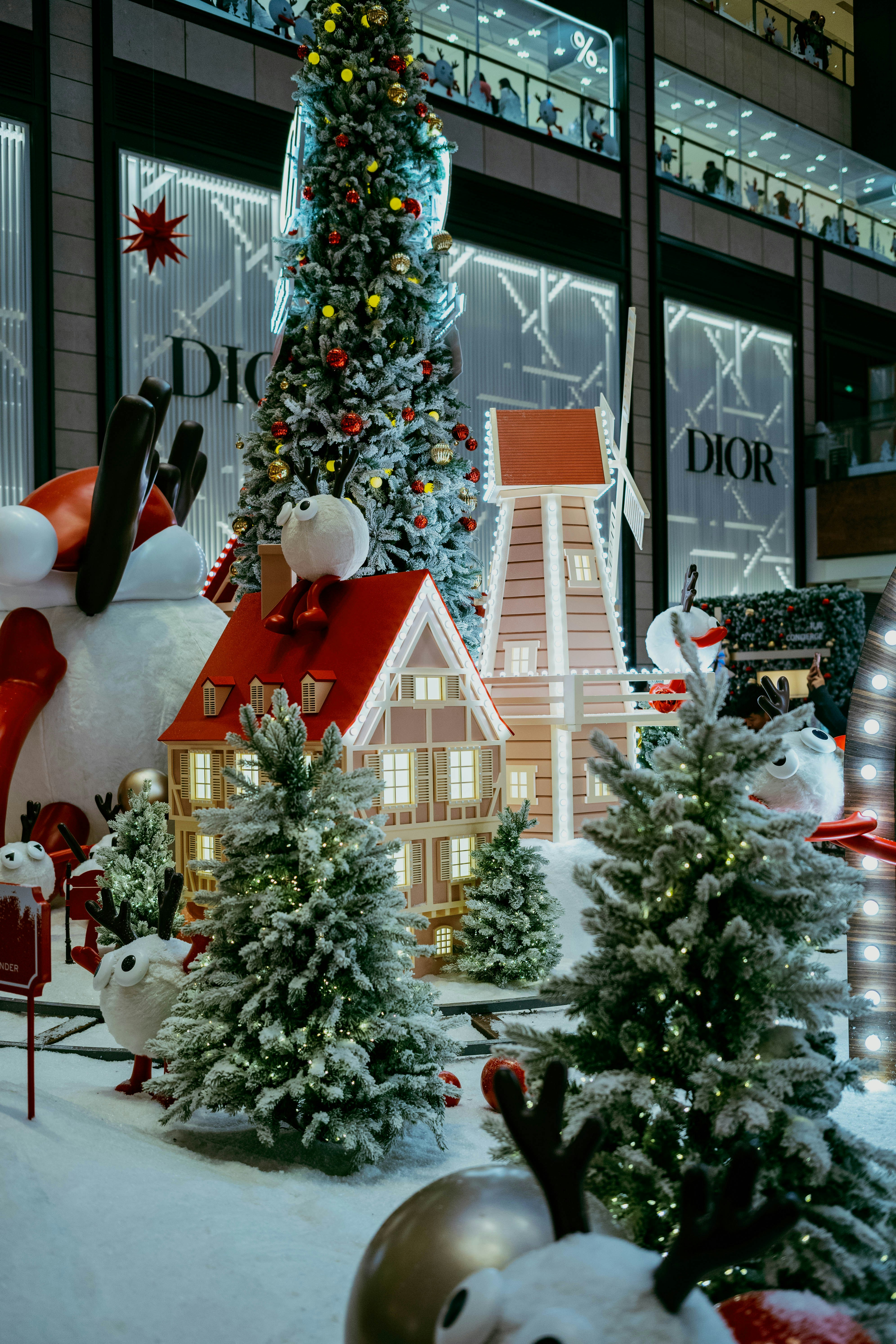 Photo by tommaomaoer