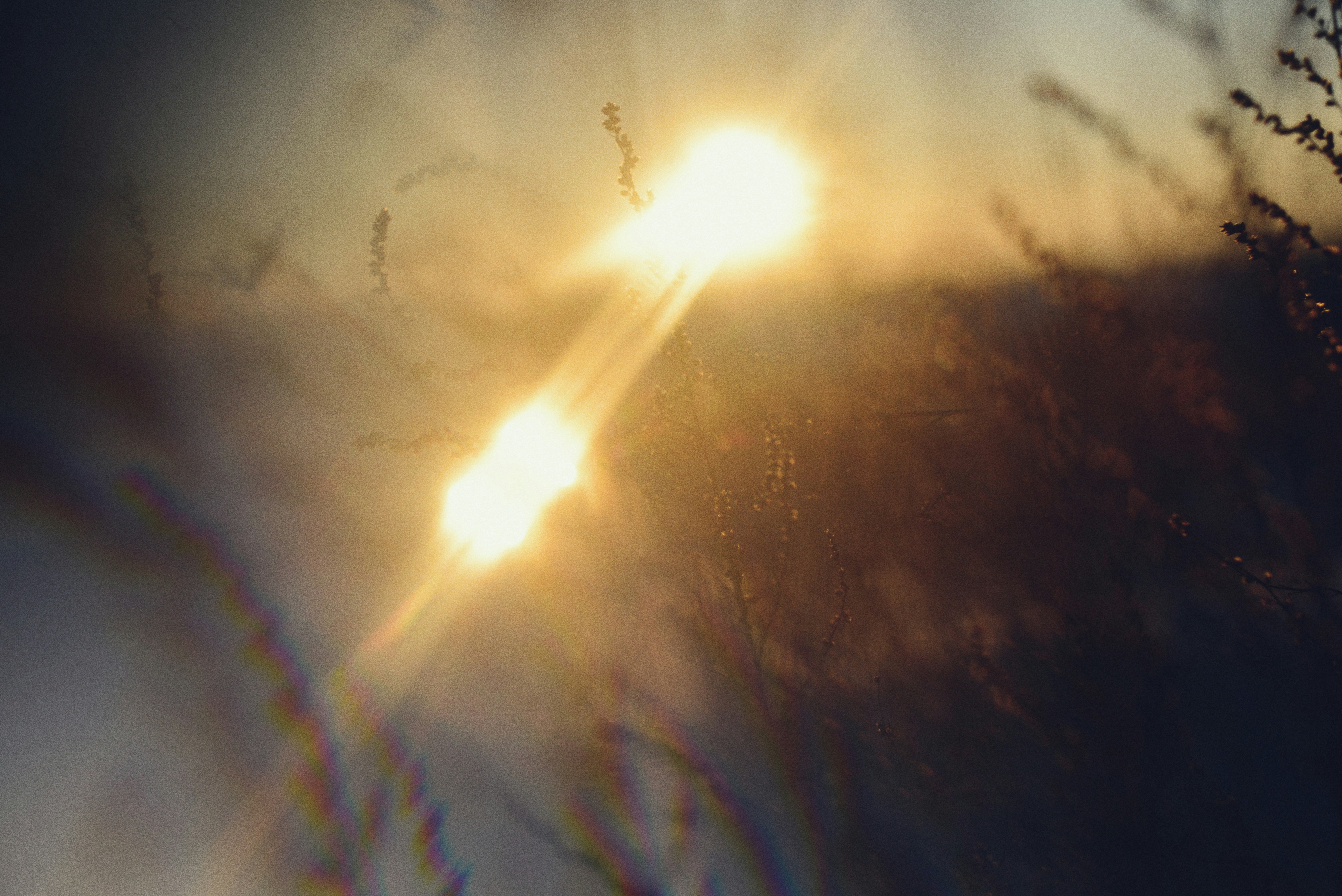 Photo by cherstve_pechivo