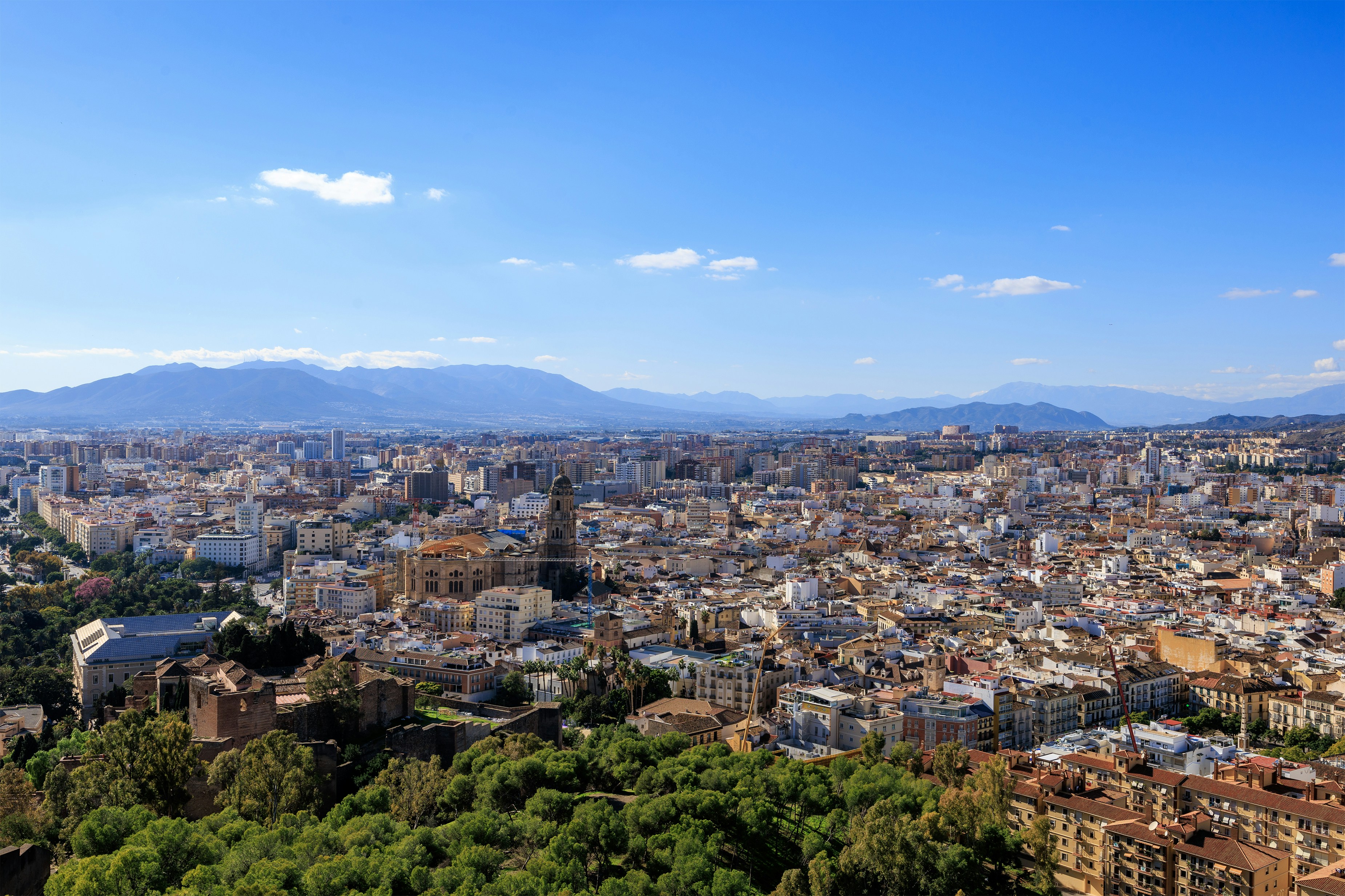 Photo by timothynblake