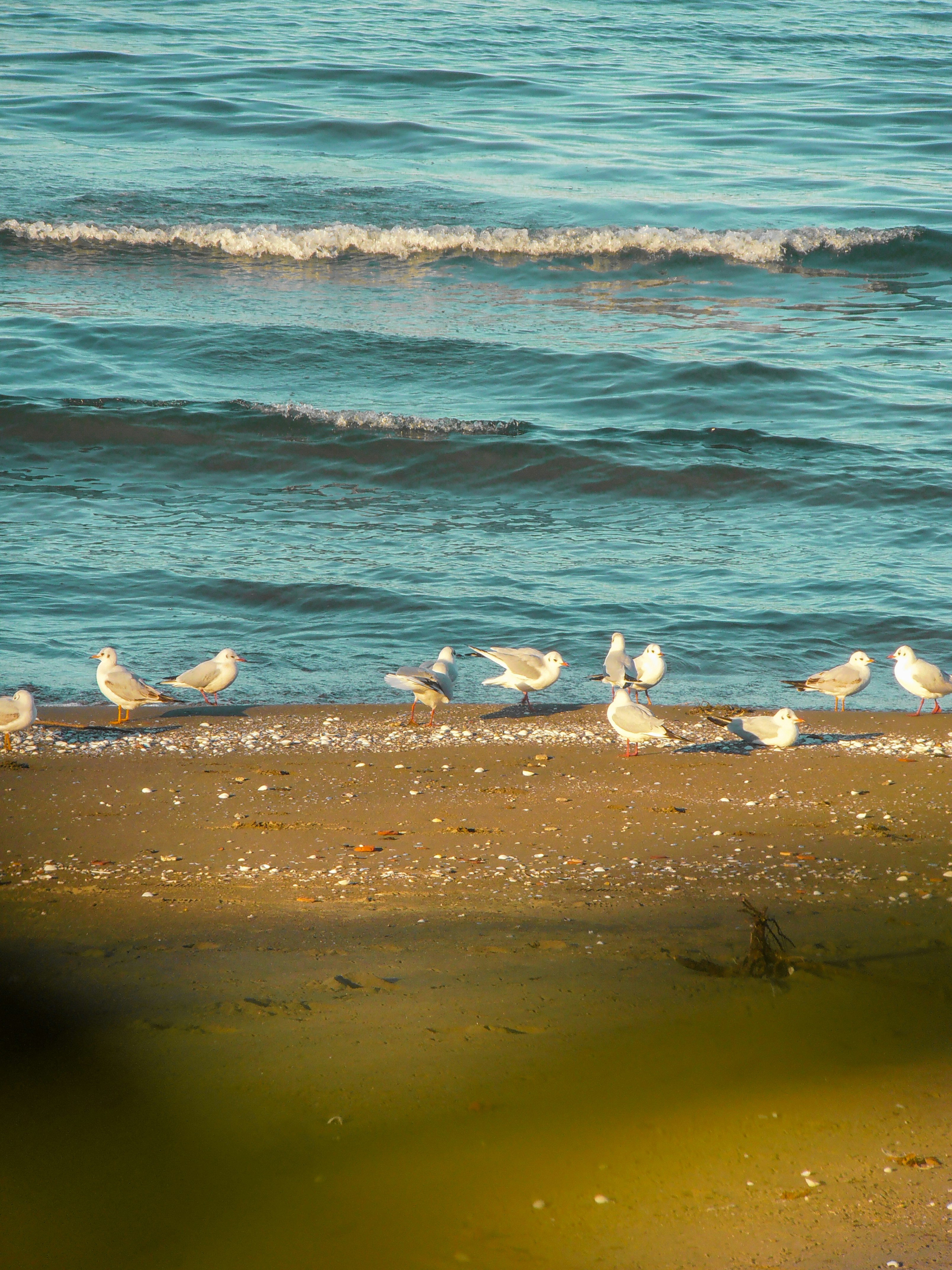 Photo by gurphotogallery