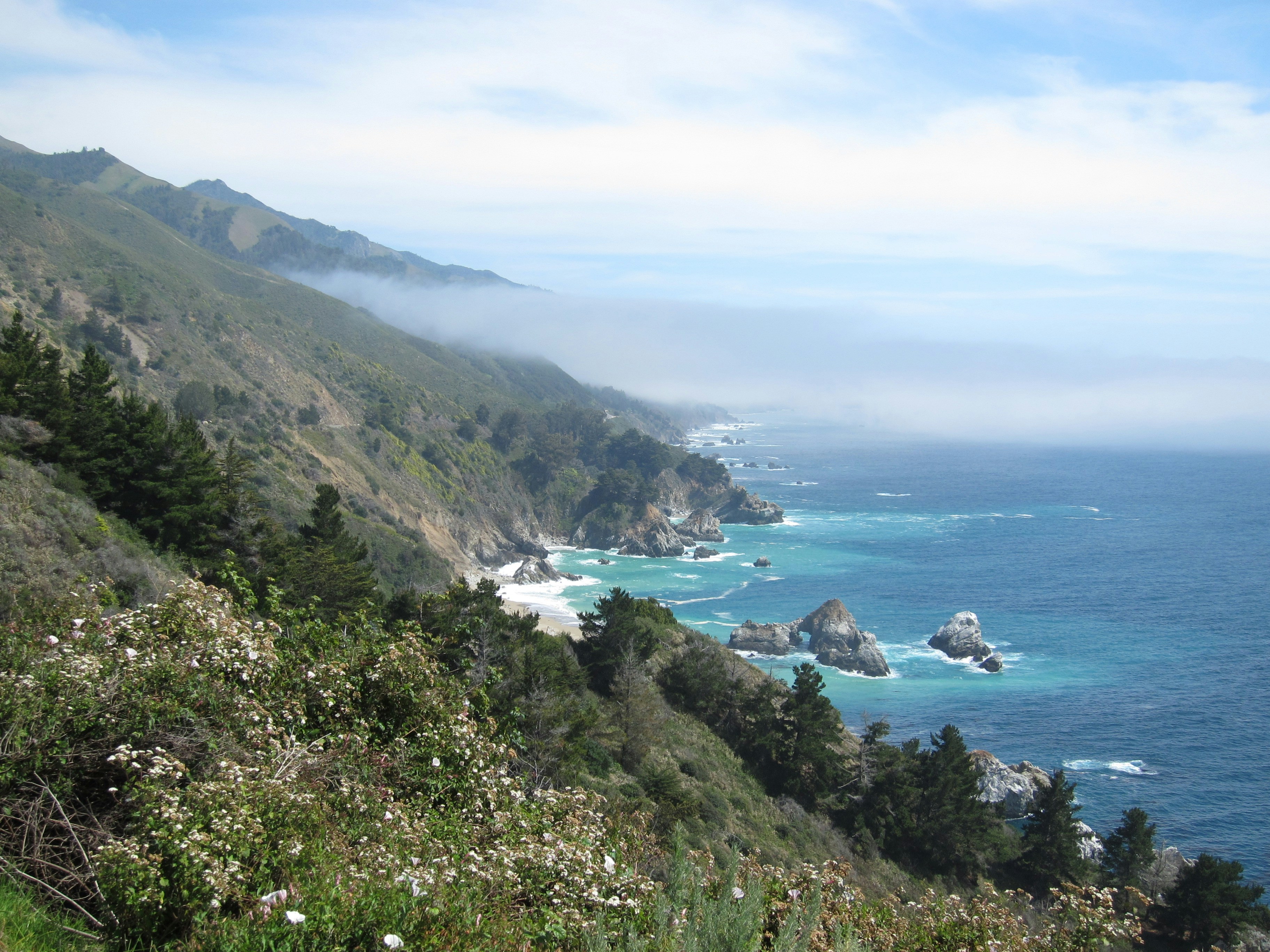 Coastal cliffs meet the blue ocean under fog.