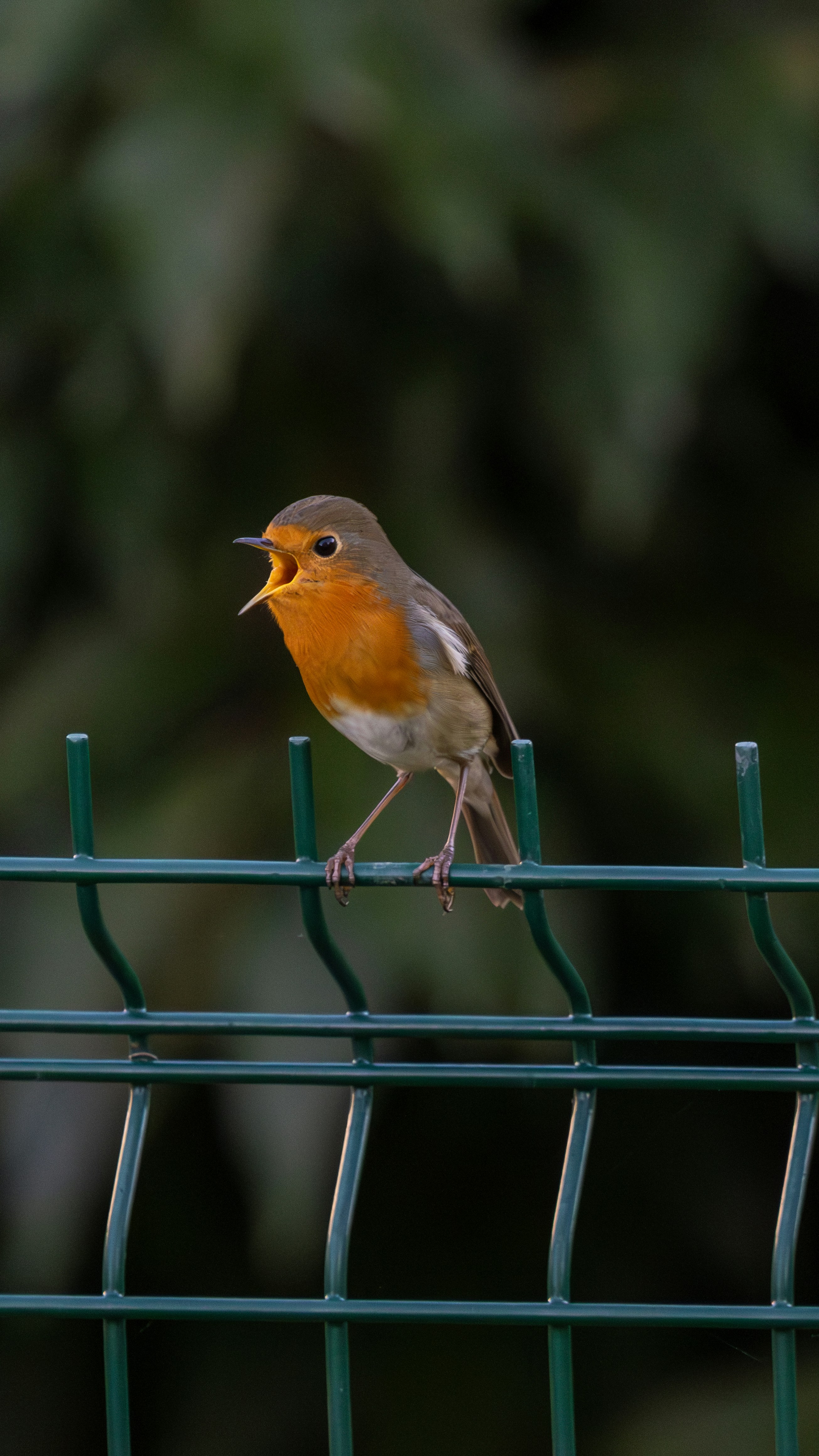 Photo by clement_pons