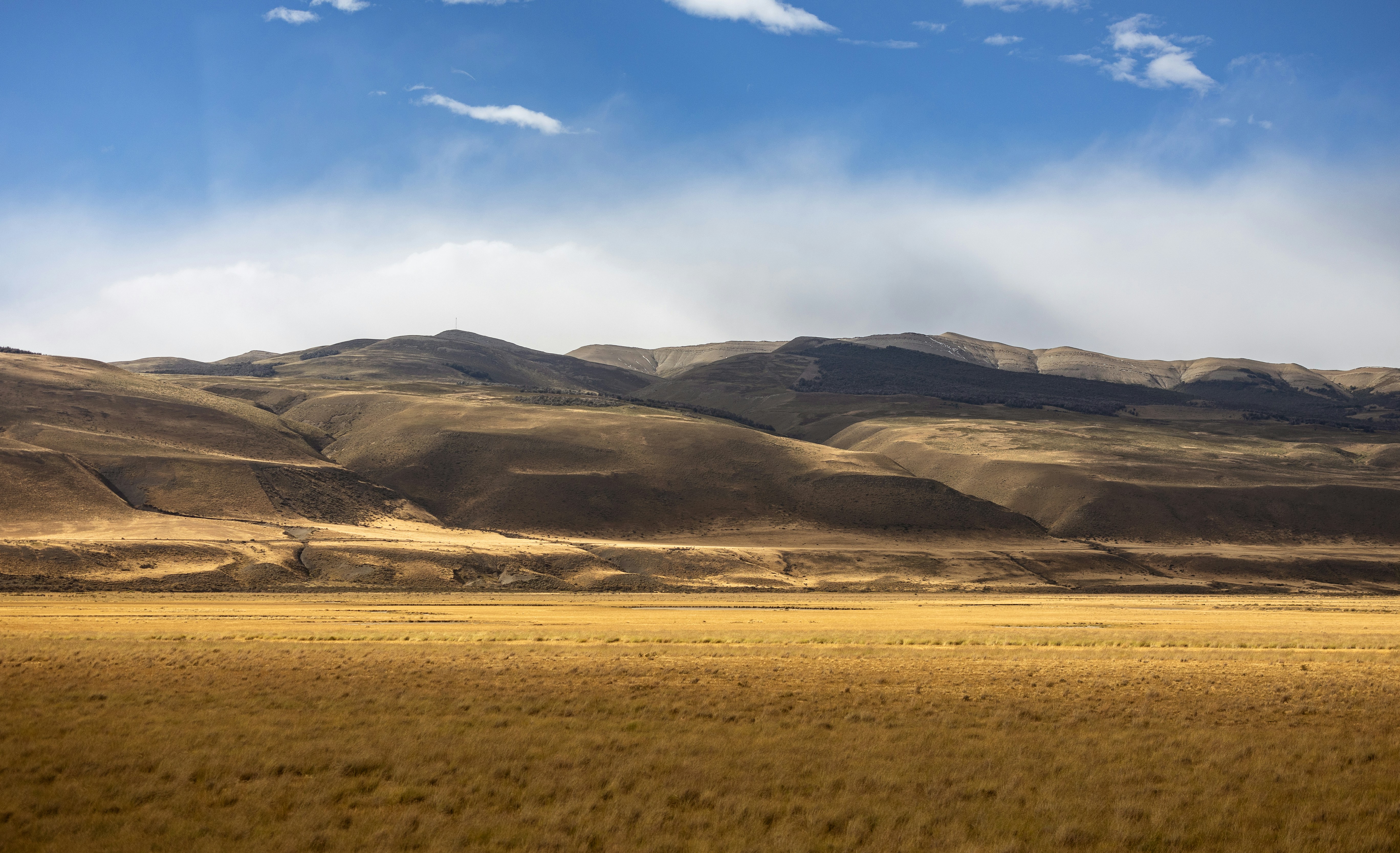 Photo by marekpiwnicki