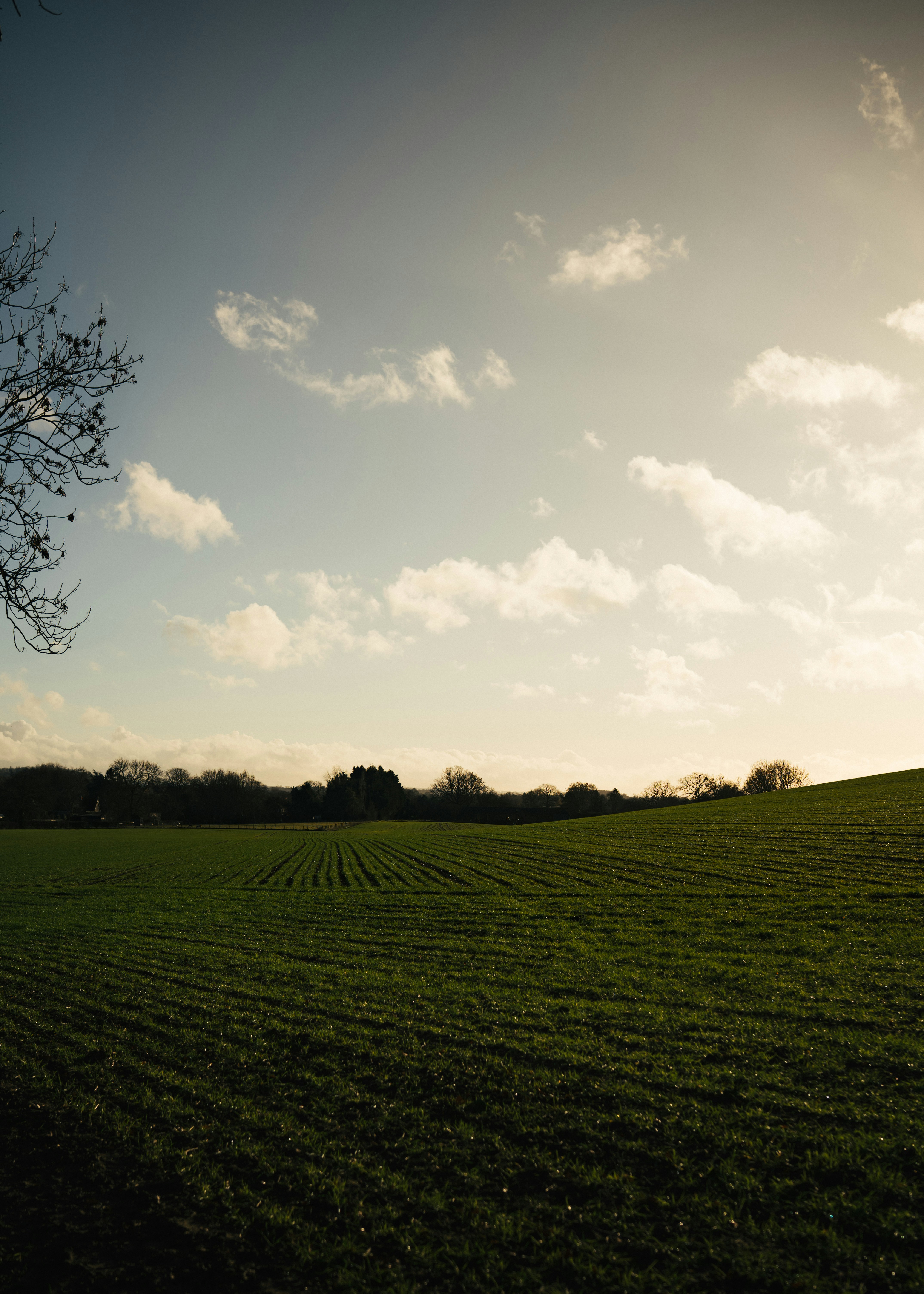 Green field under a cloudy sky at sunset