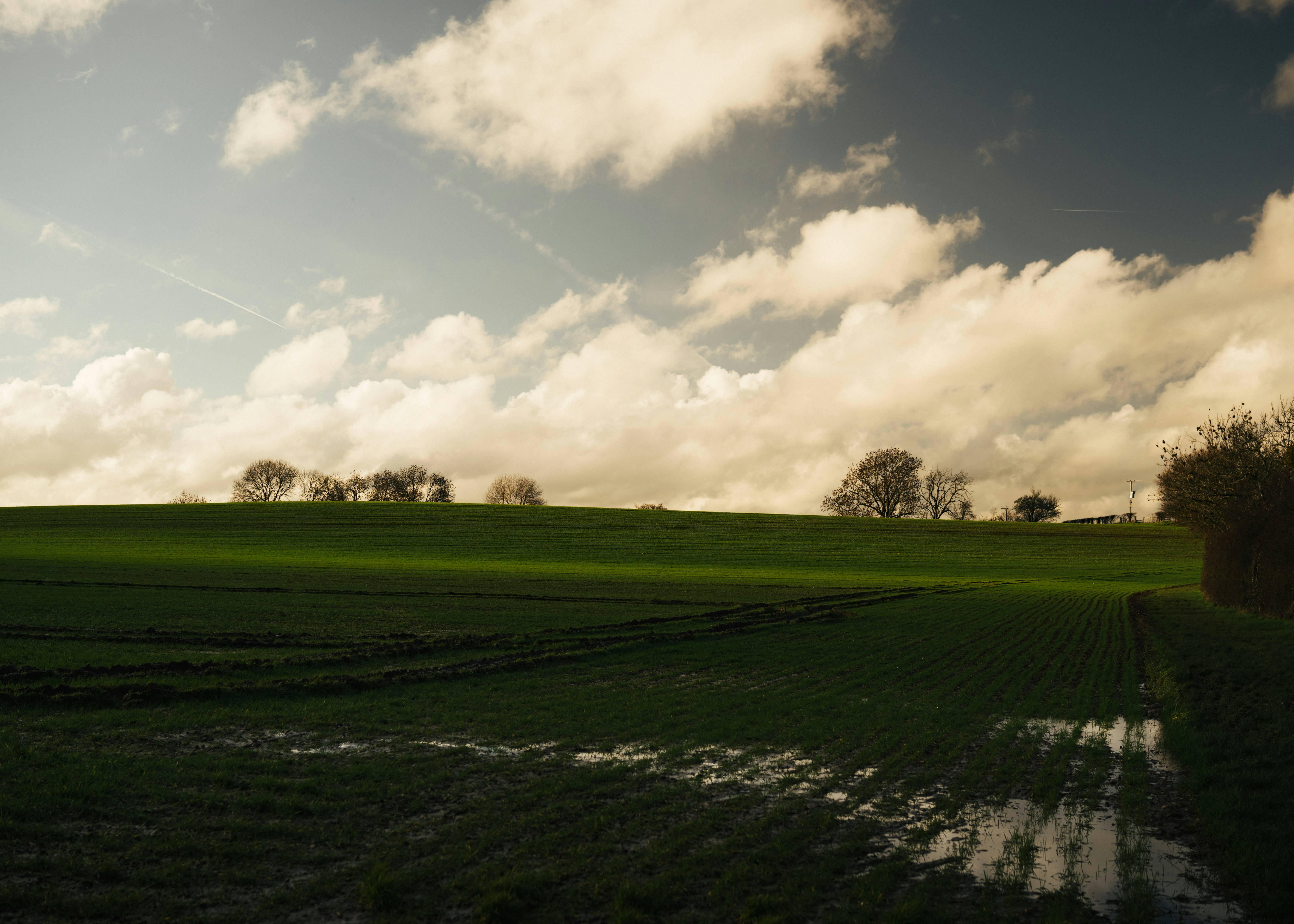 Green field with puddles under cloudy sky
