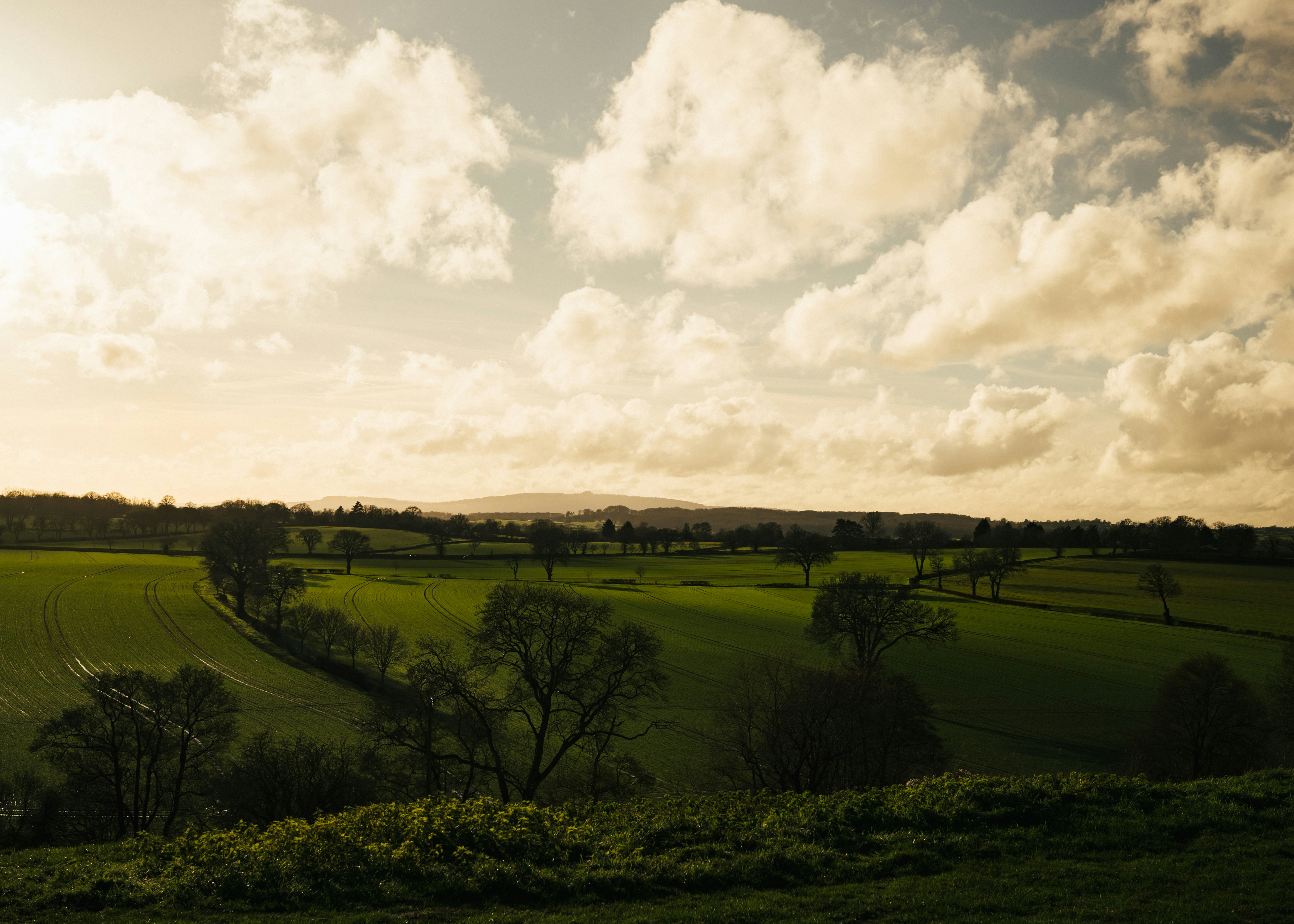 Rolling green hills under a cloudy sky at sunset.