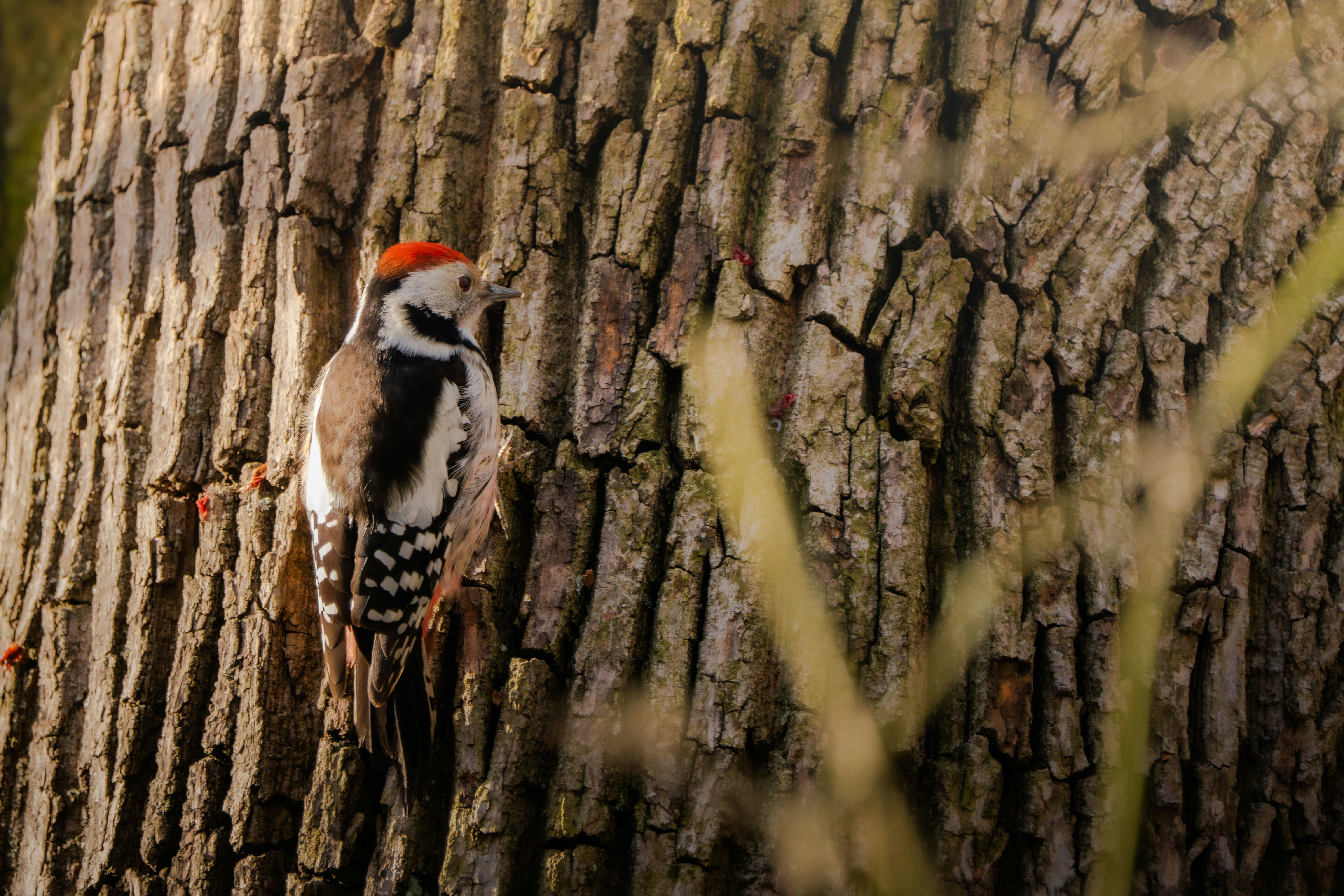 Photo by ronan_hello