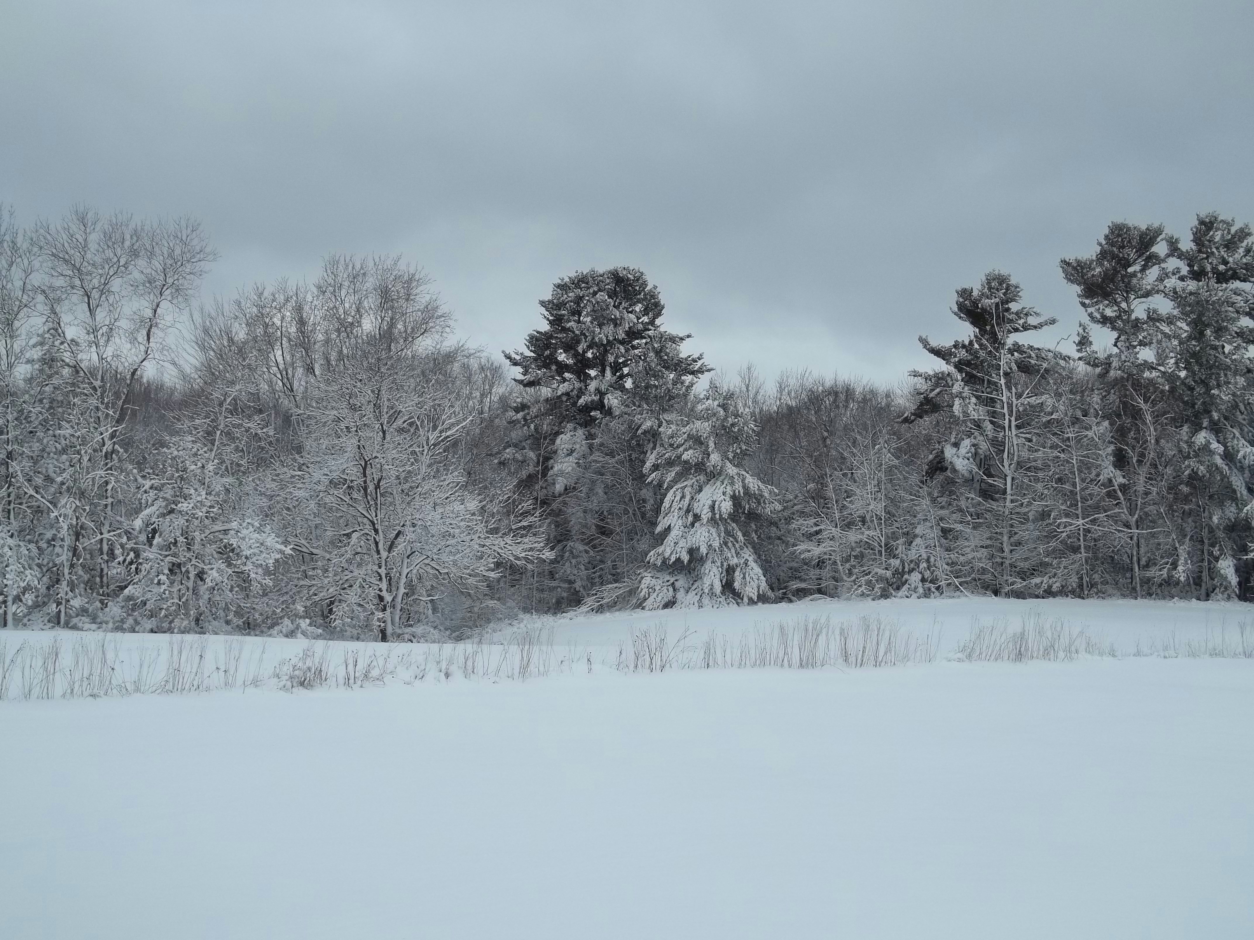 Photo by wisconsinpictures