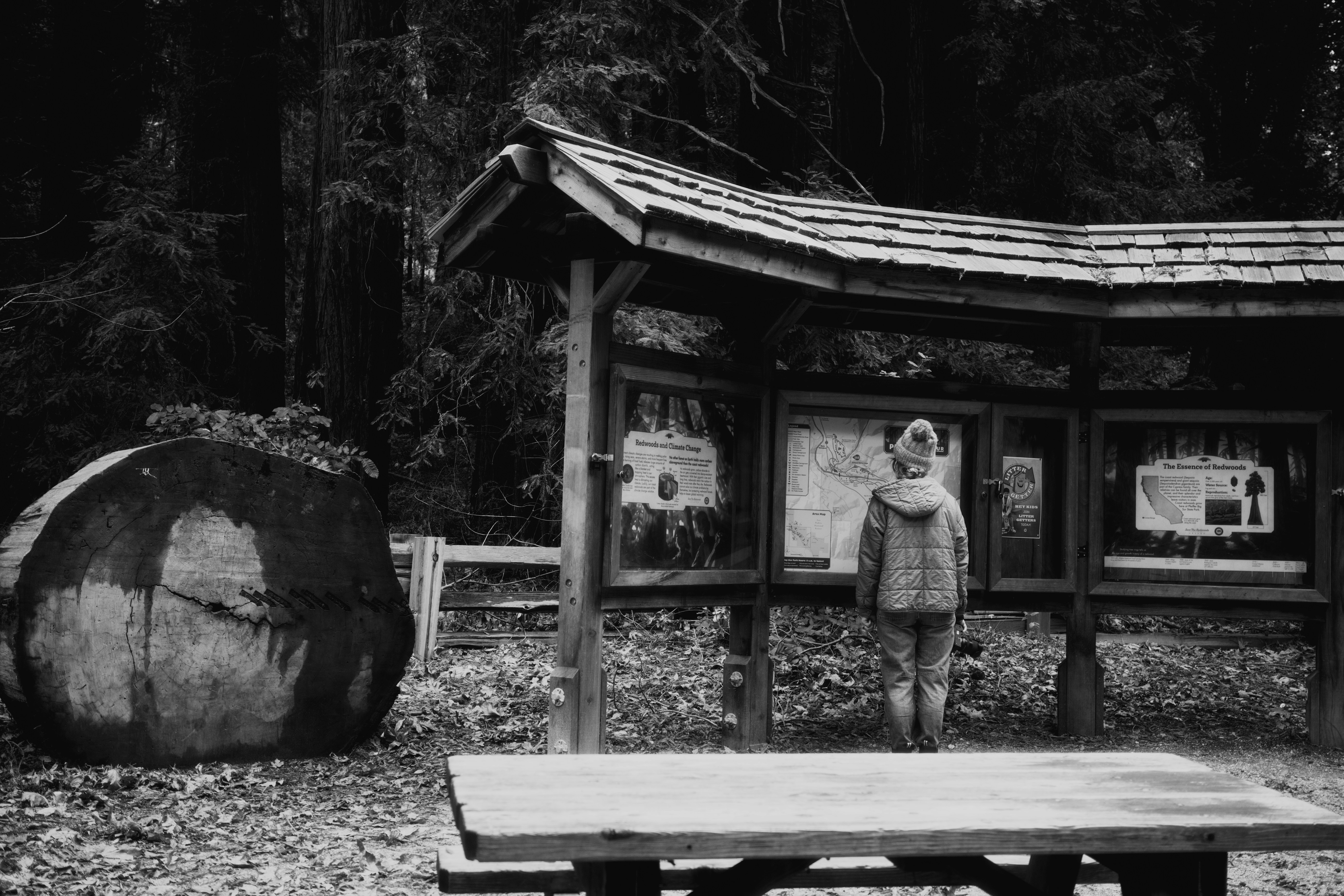 Photography from the Disconnect to Reconnect: A New Year in Big Sur article on Abduzeedo