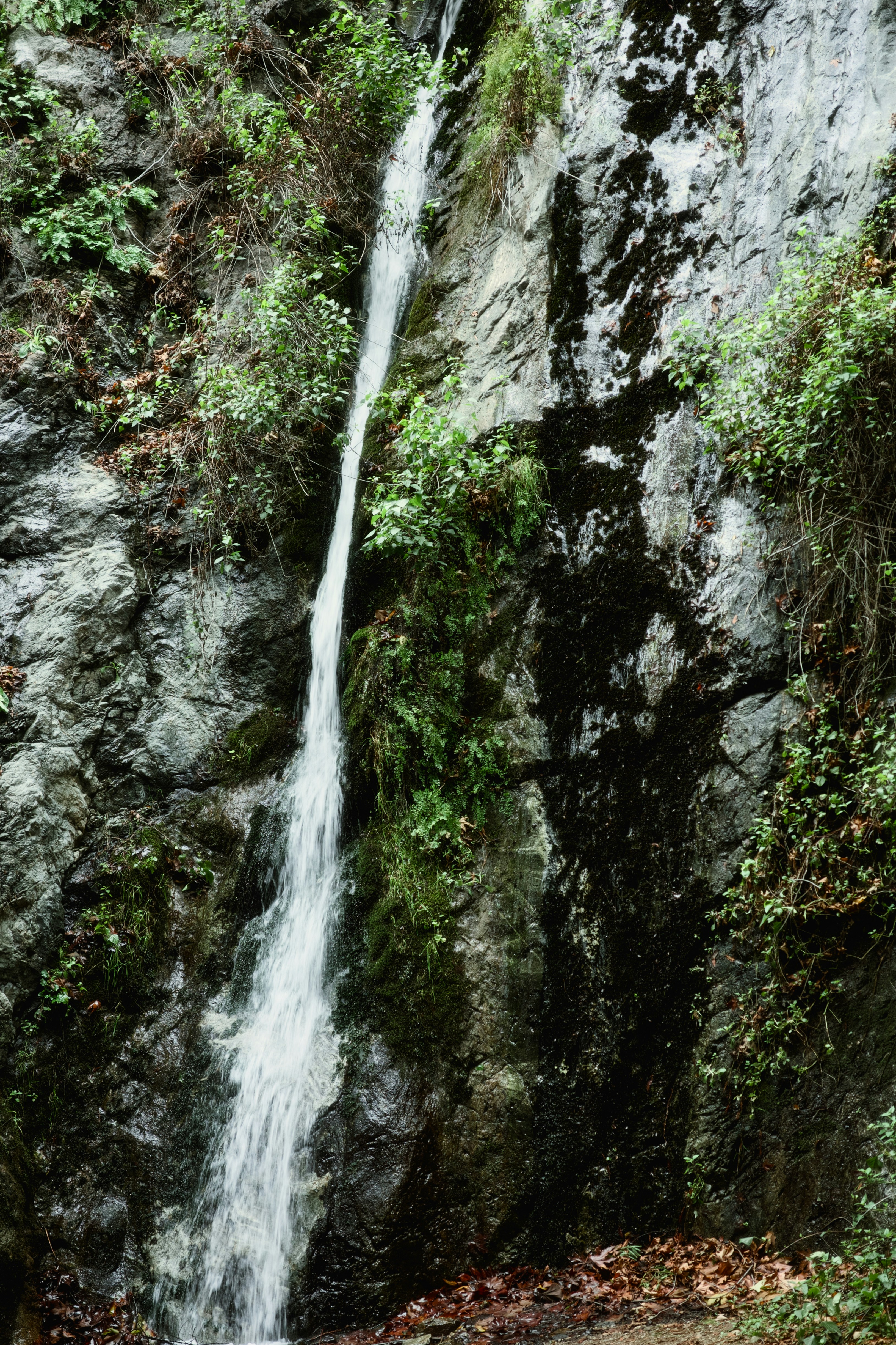 Photography from the Disconnect to Reconnect: A New Year in Big Sur article on Abduzeedo