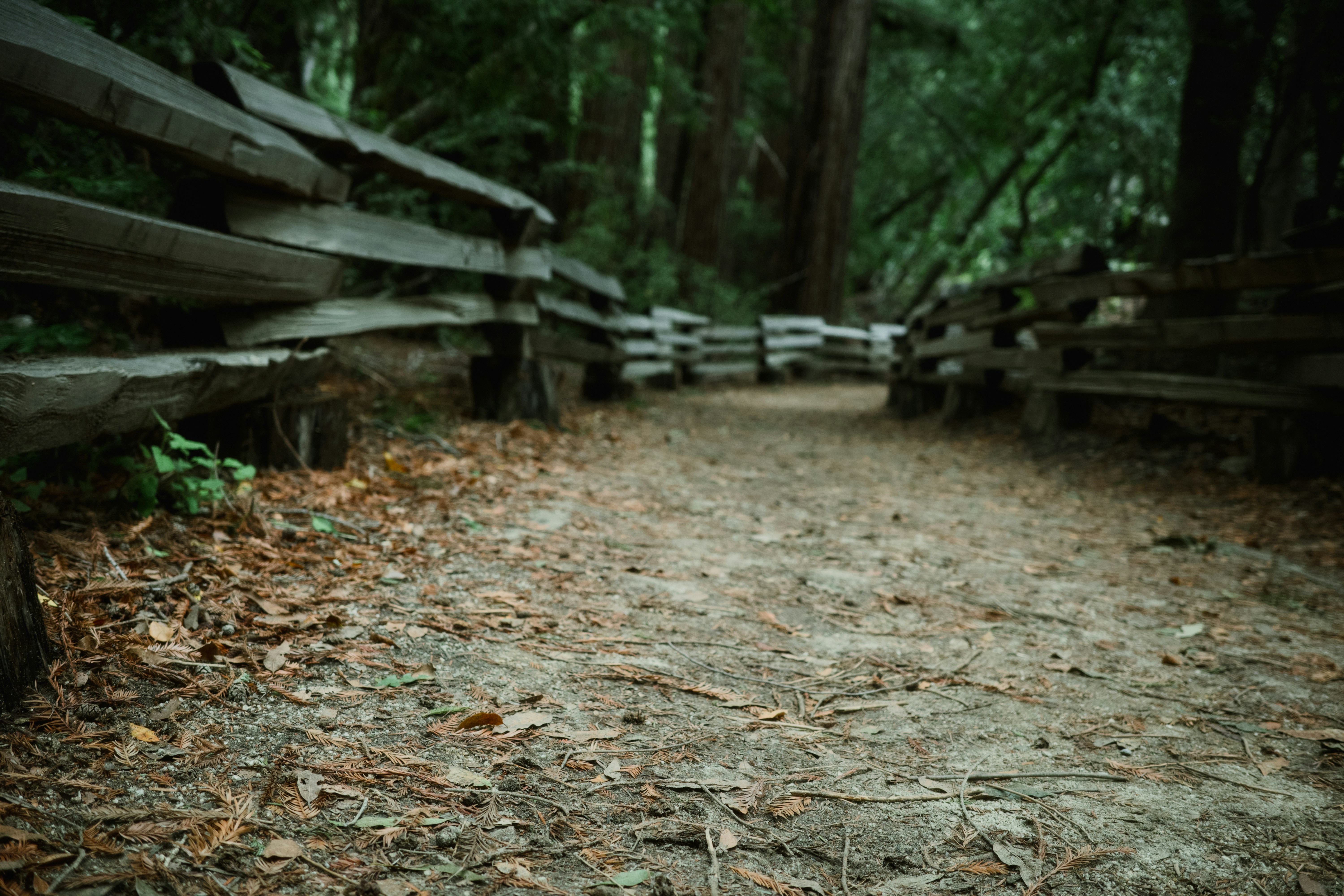 Photography from the Disconnect to Reconnect: A New Year in Big Sur article on Abduzeedo