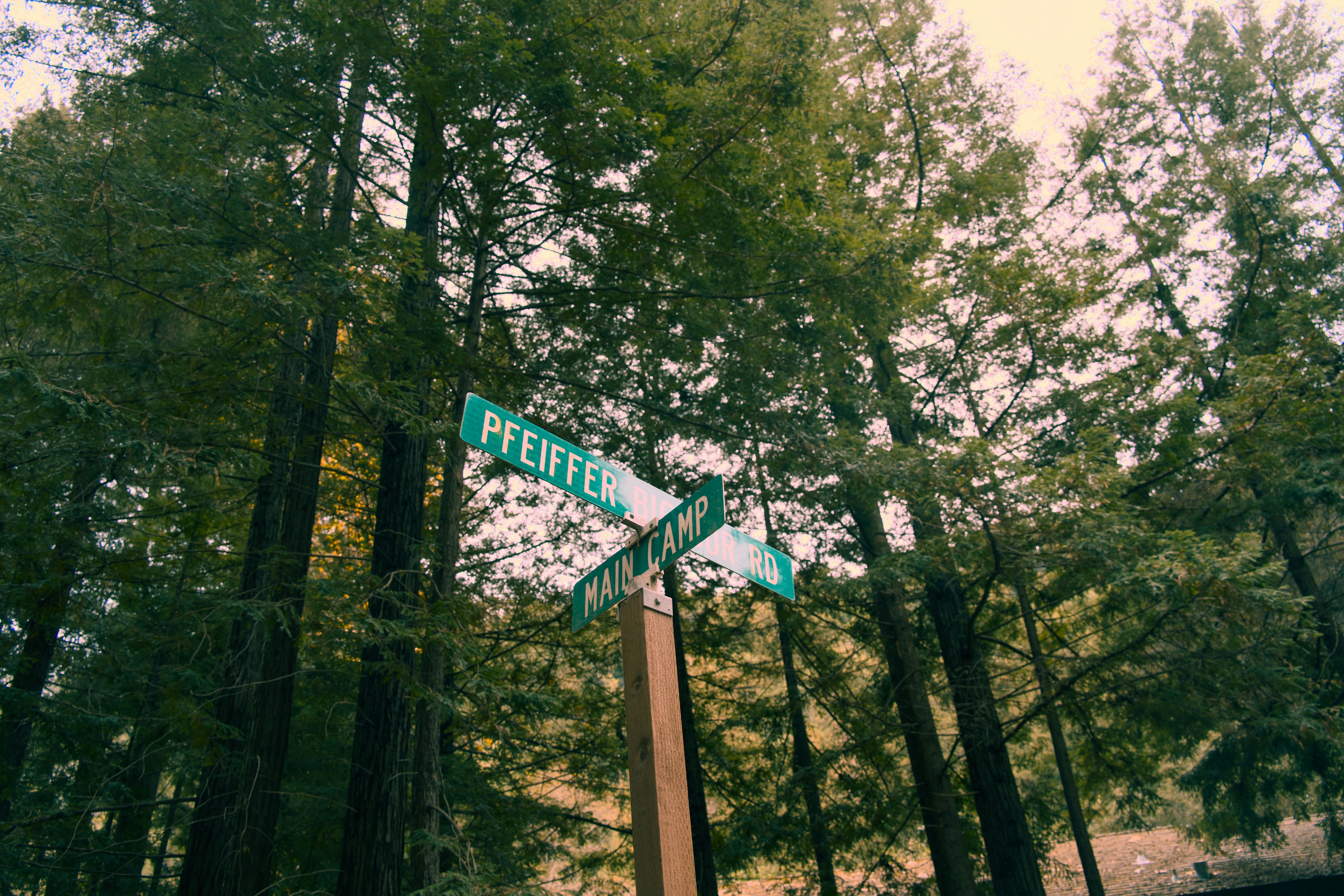 Photography from the Disconnect to Reconnect: A New Year in Big Sur article on Abduzeedo