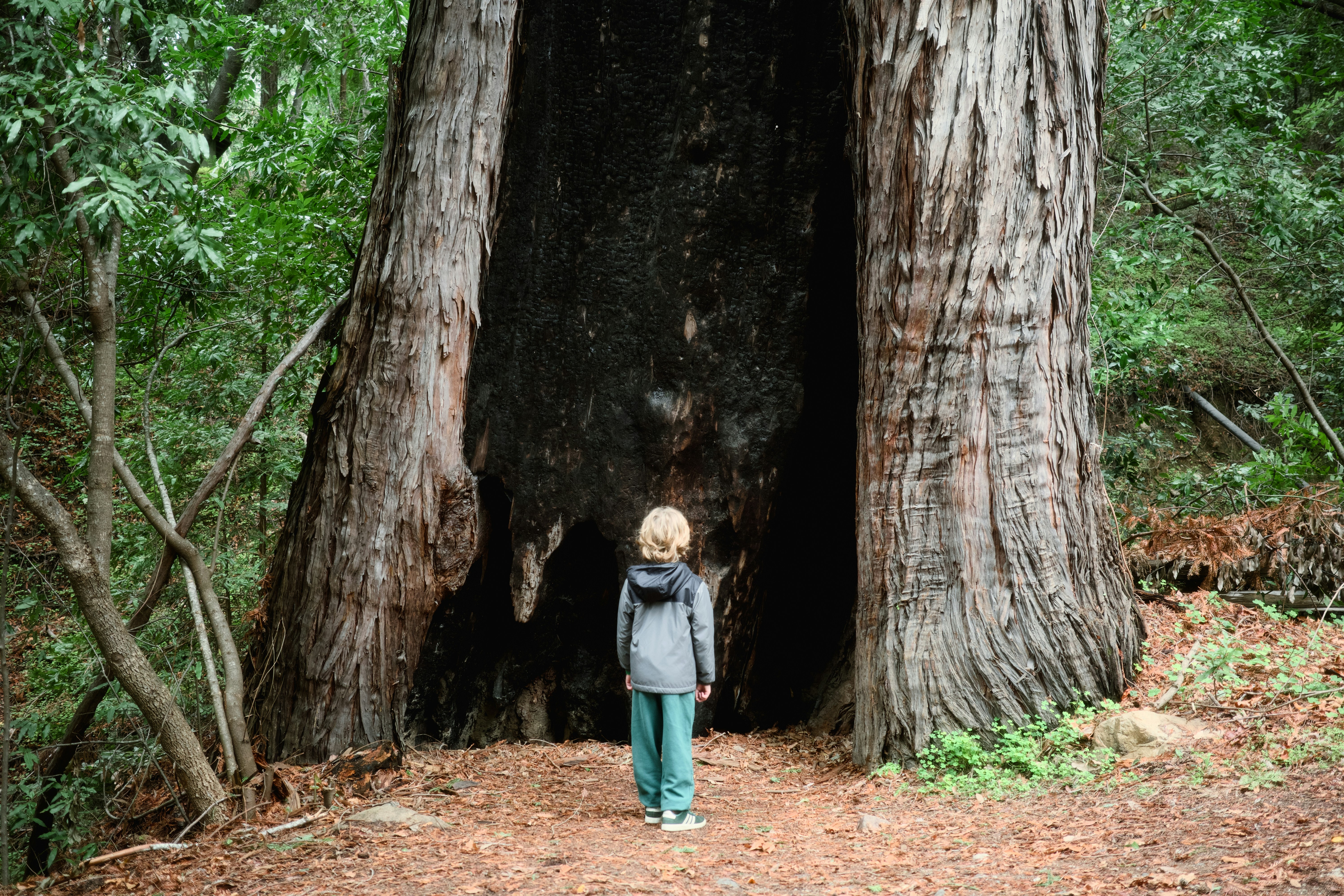 Photography from the Disconnect to Reconnect: A New Year in Big Sur article on Abduzeedo