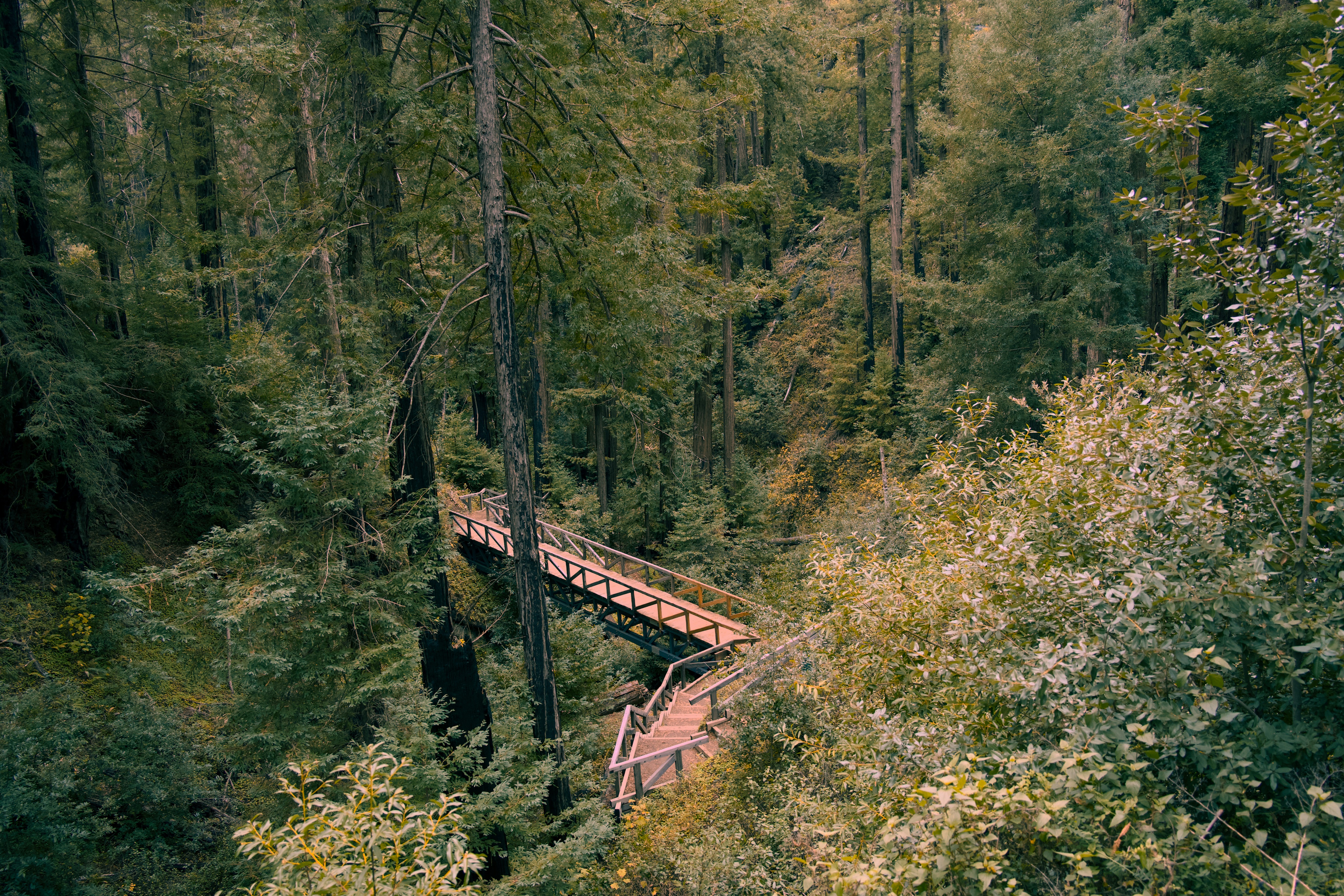 Photography from the Disconnect to Reconnect: A New Year in Big Sur article on Abduzeedo