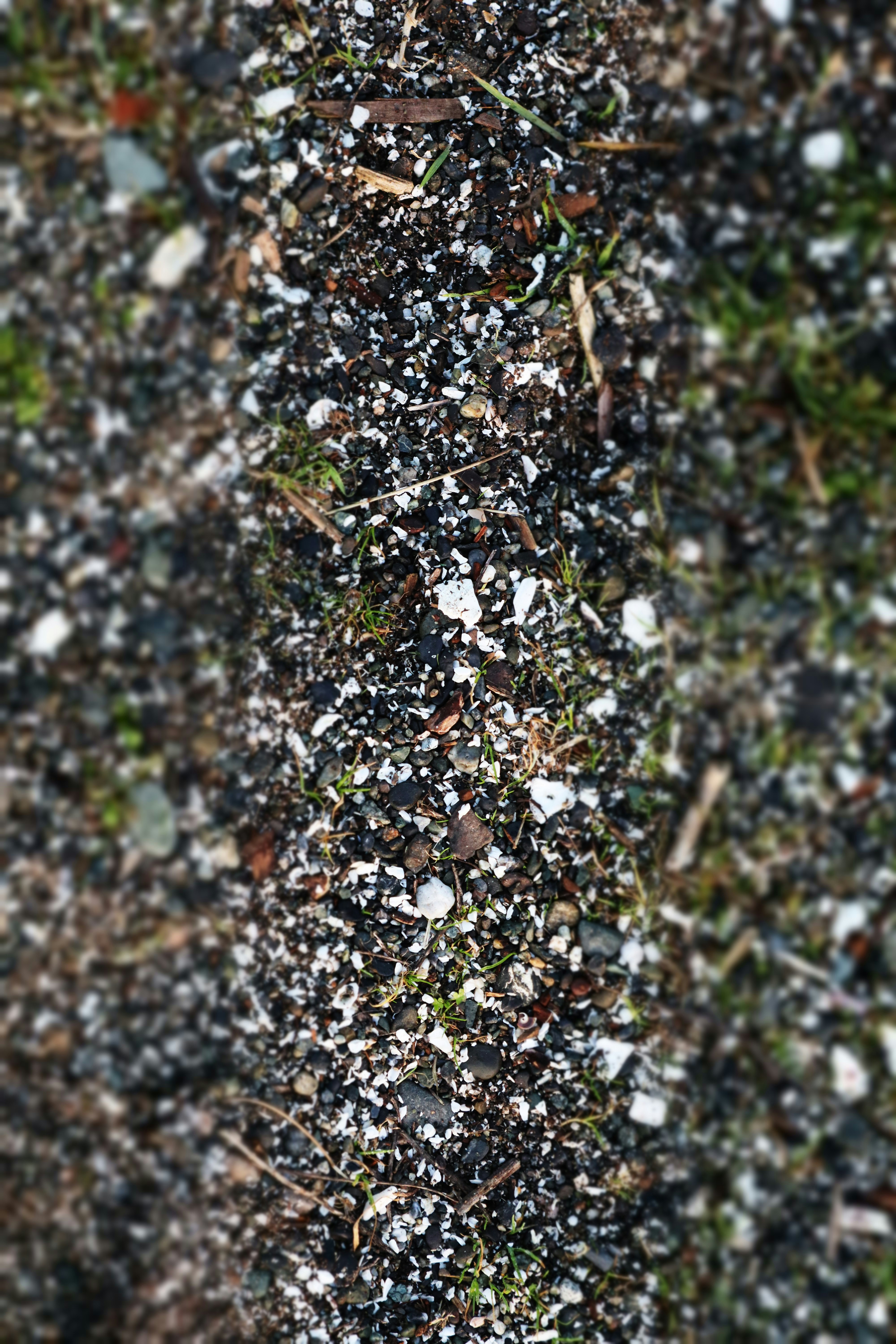 Photo by splashylammb8205