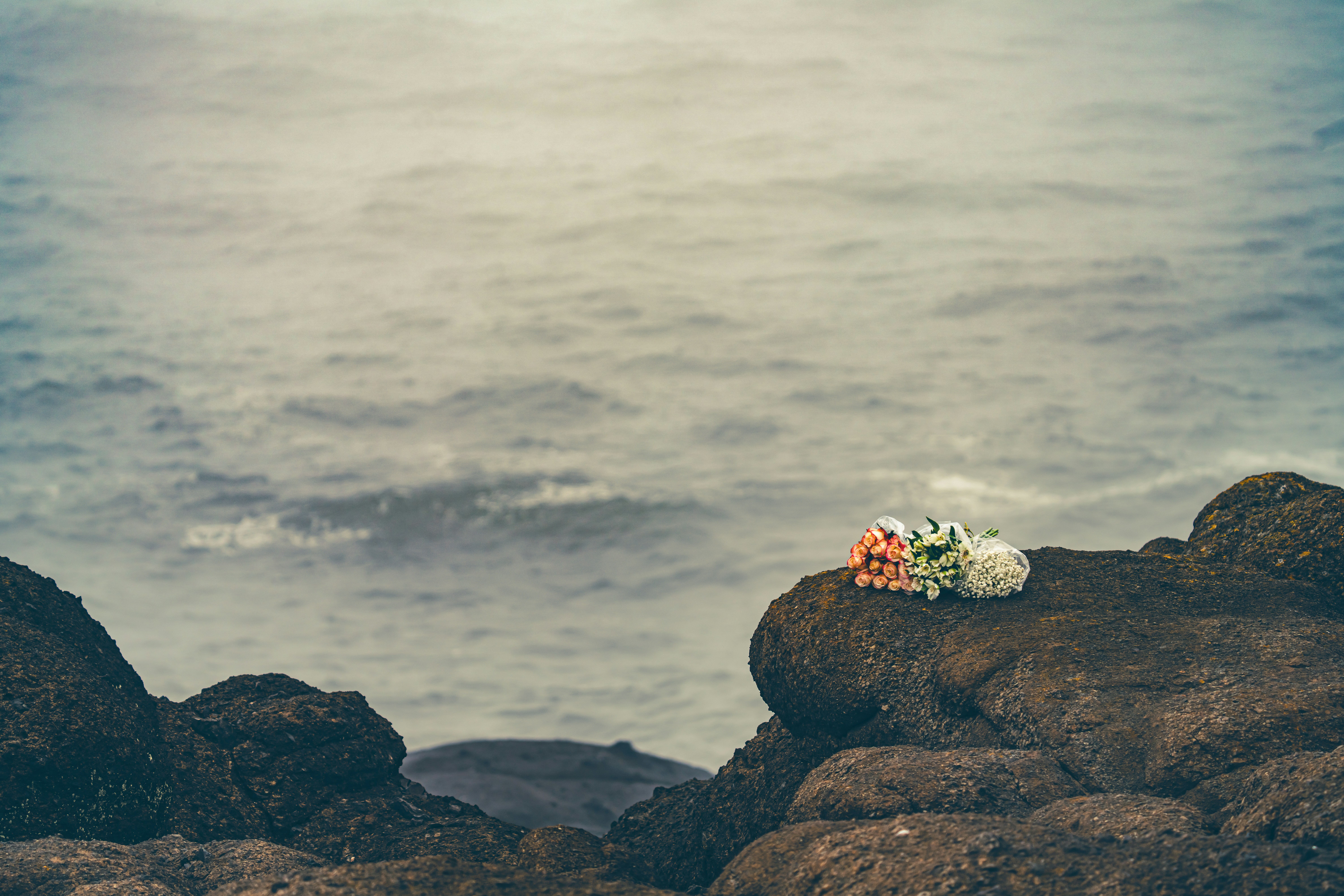 Flowers resting on rocks by the ocean