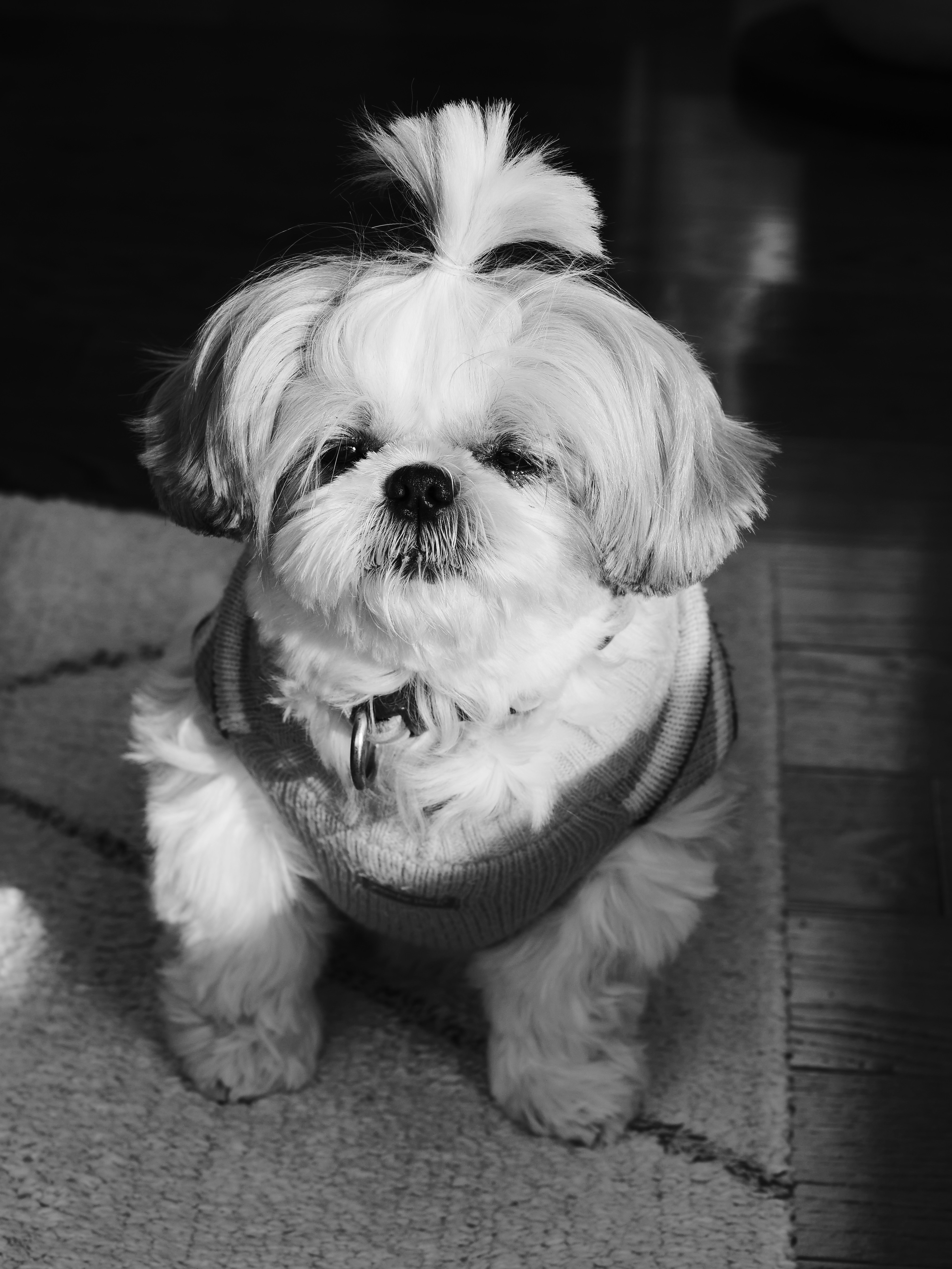 Photo by sschusterphotoart