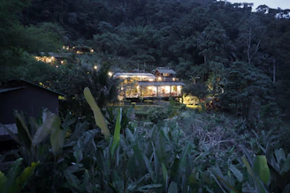 Illuminated resort nestled in a lush, dark jungle.