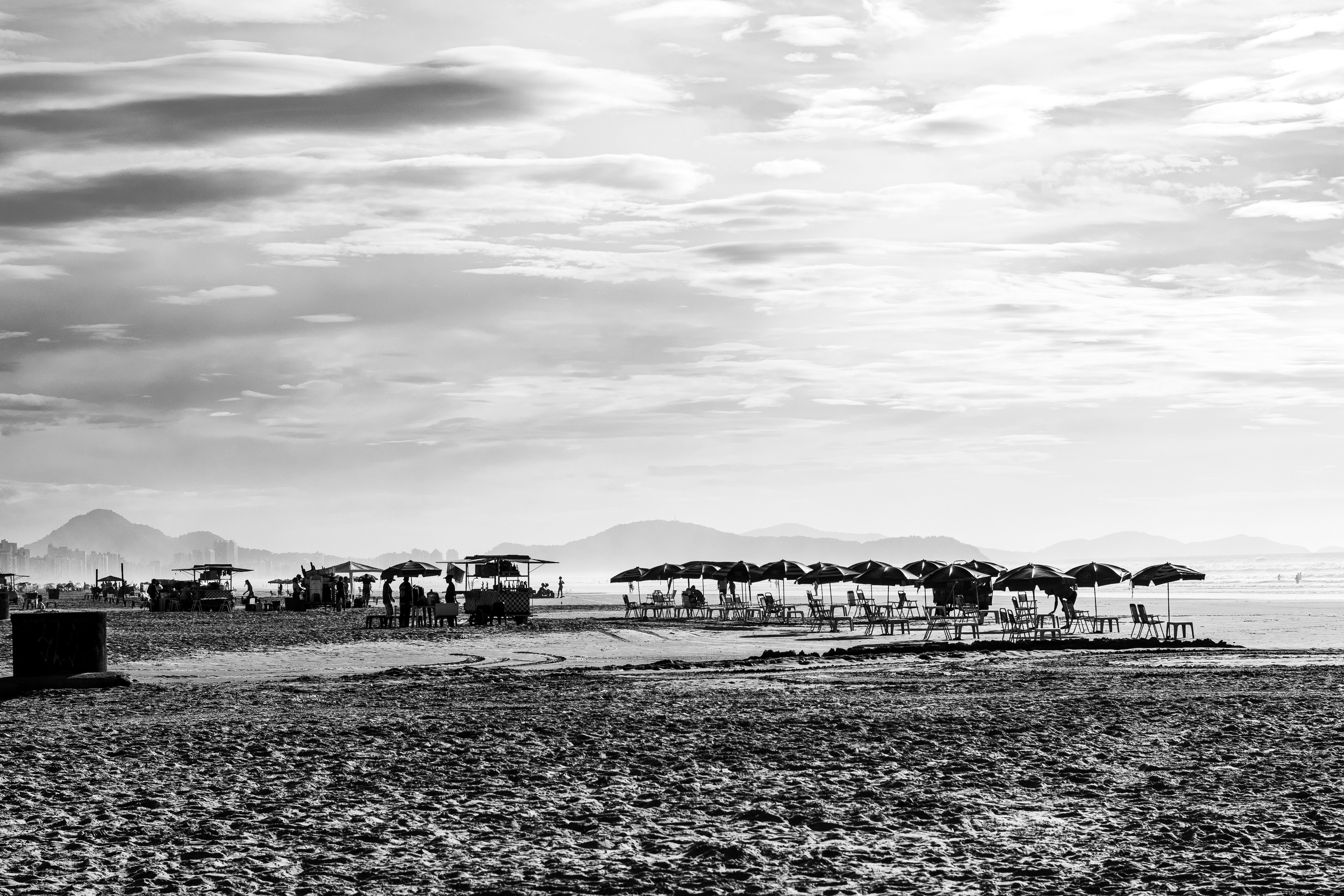 Inside the Kitchen: How Chefs are Adapting to Economic Challenges