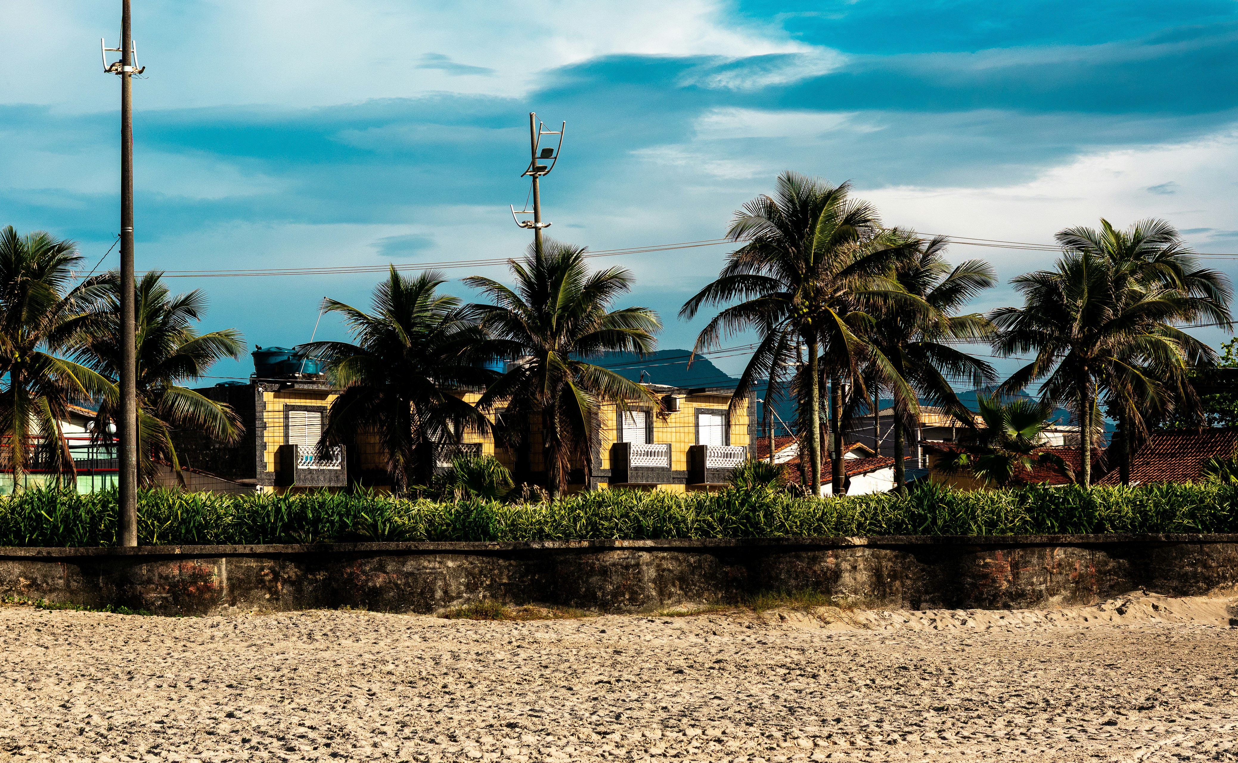 Palm trees line a beach with yellow houses behind.