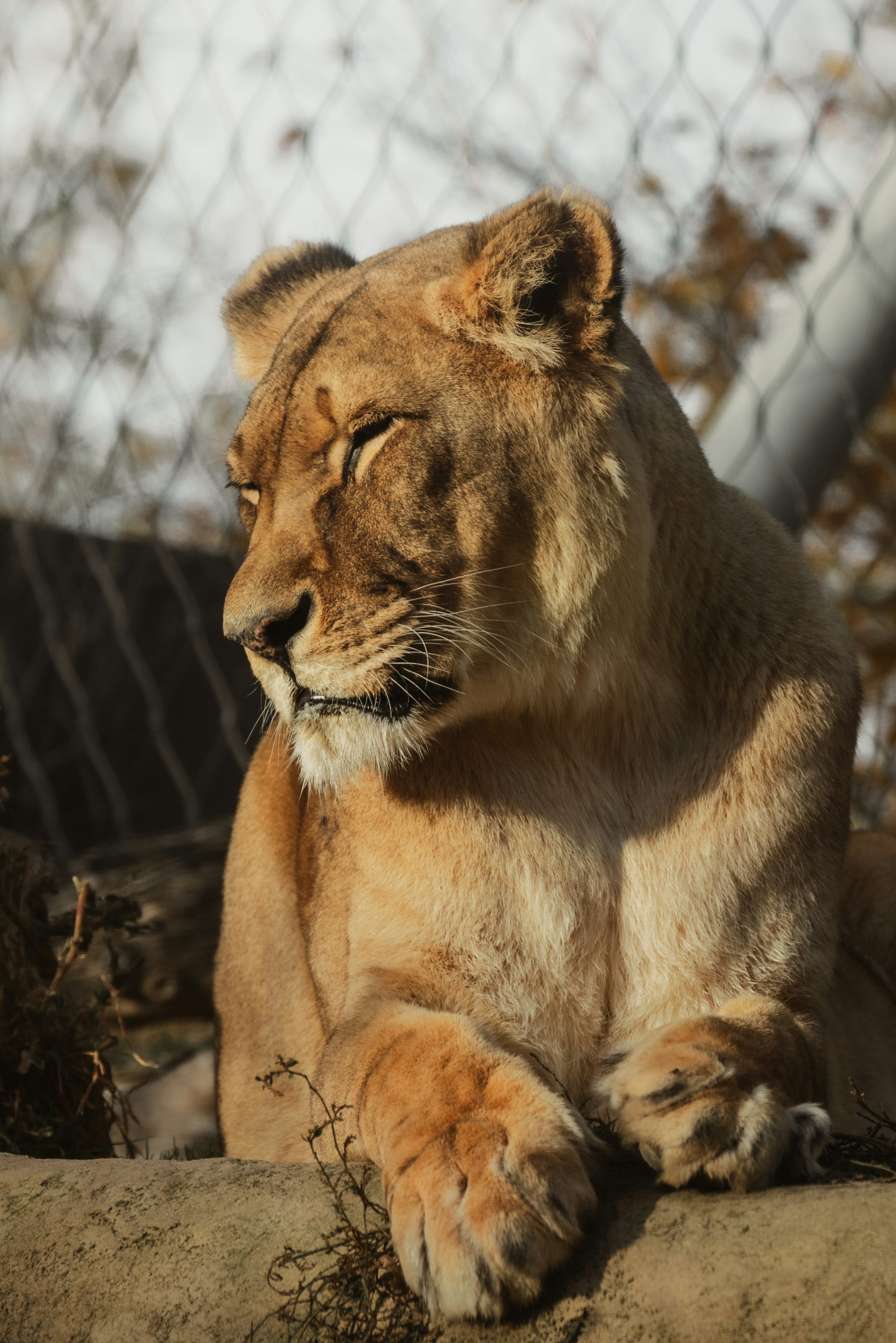 Photo by ahmetyuksek