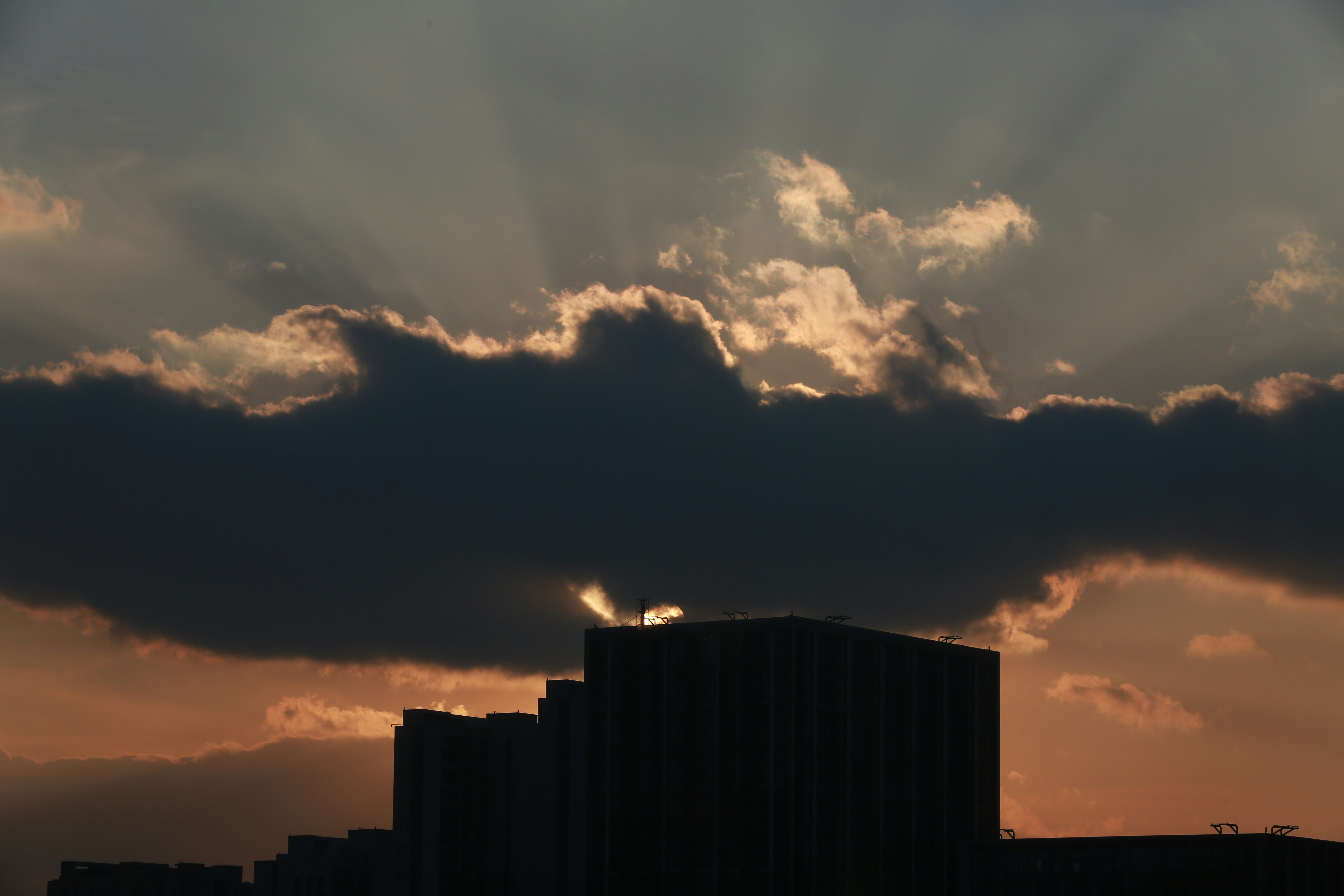 Photo by elevenzhaoxing