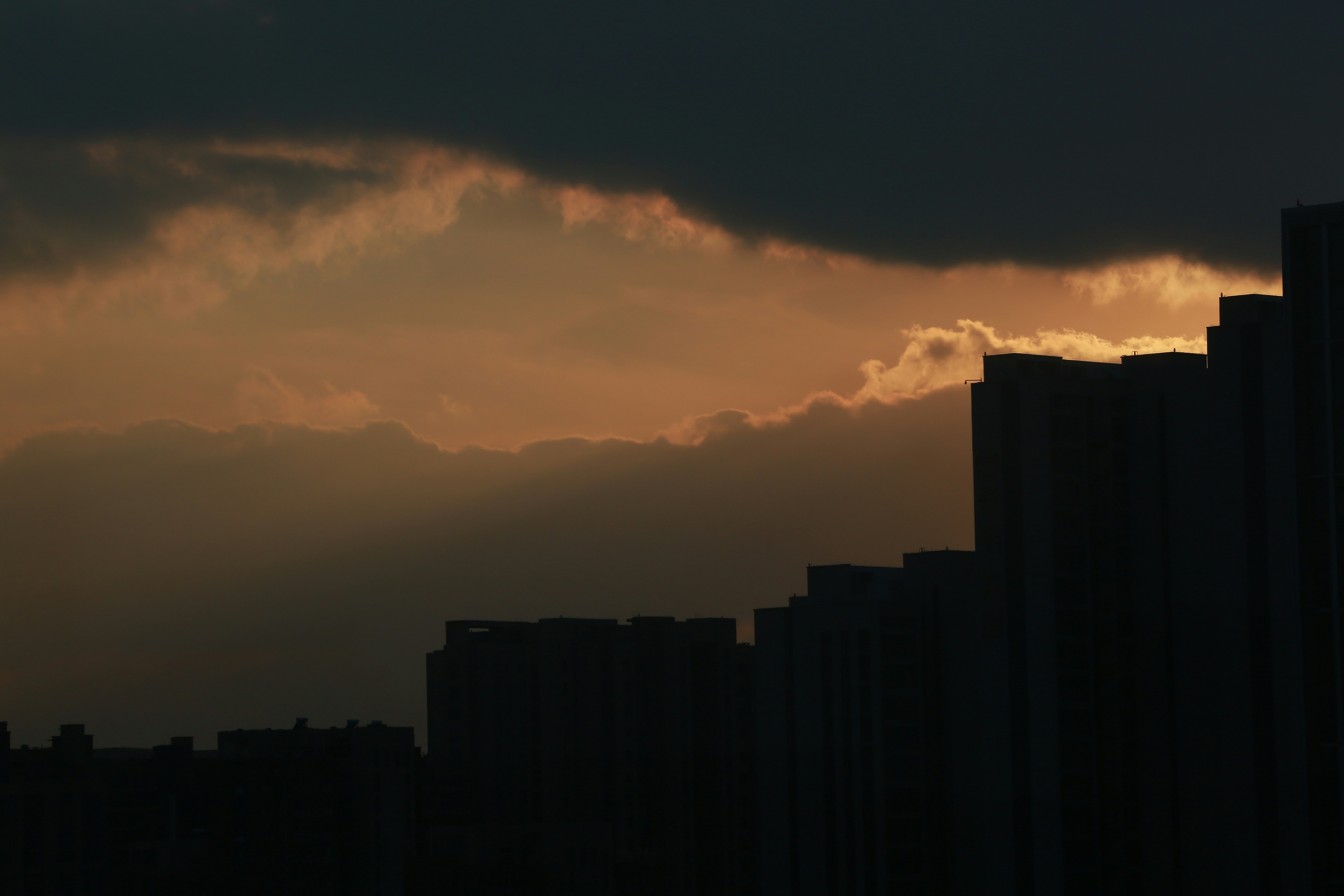 Photo by elevenzhaoxing