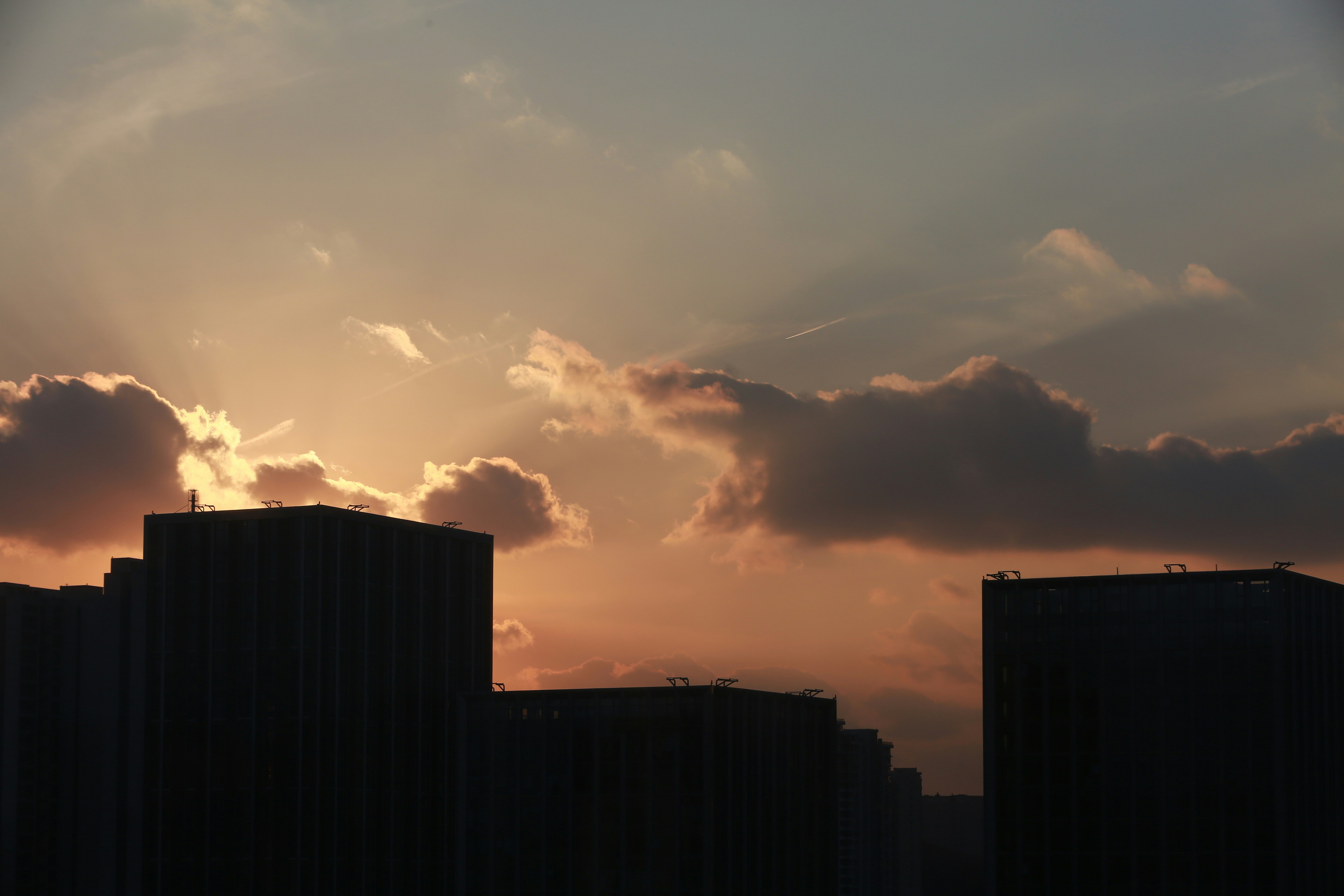 Photo by elevenzhaoxing