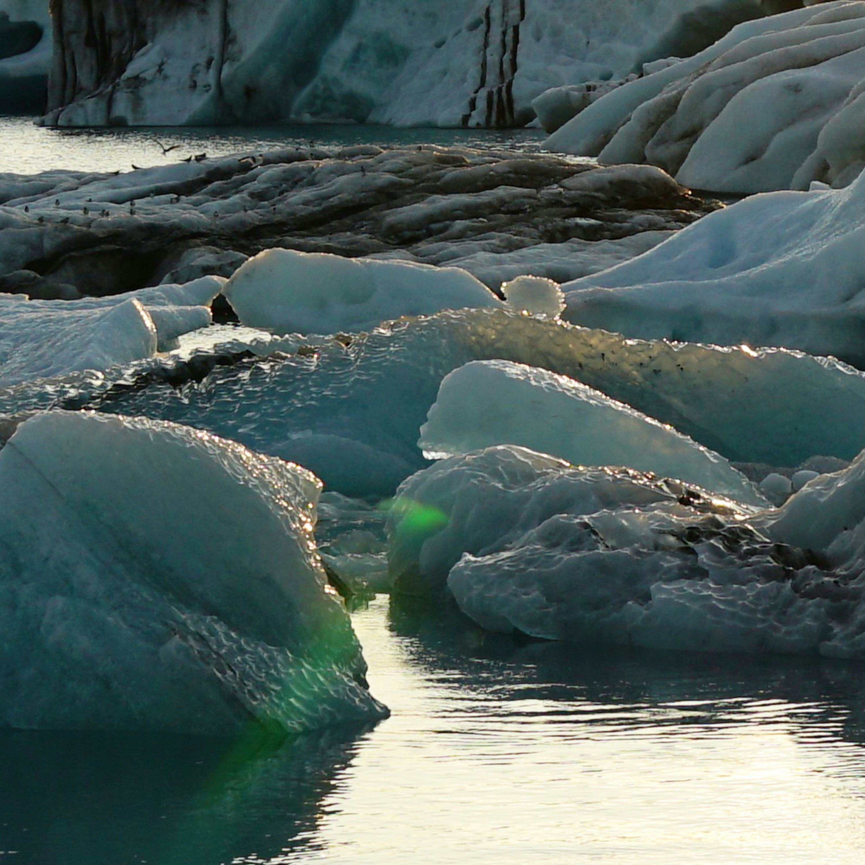 Icebergs floating in glacial water with sunlight reflection.
