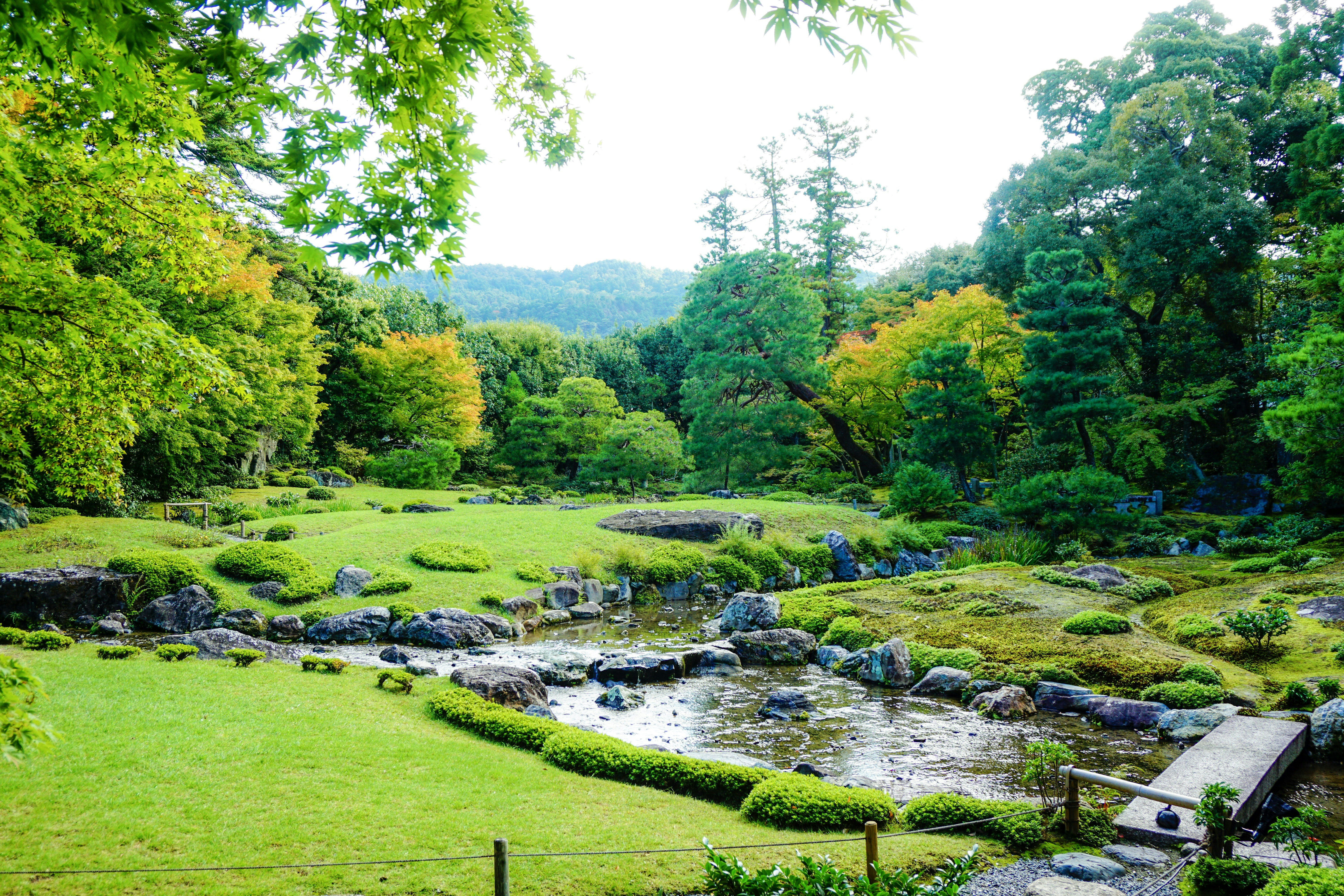 Photo by tontonvn1026