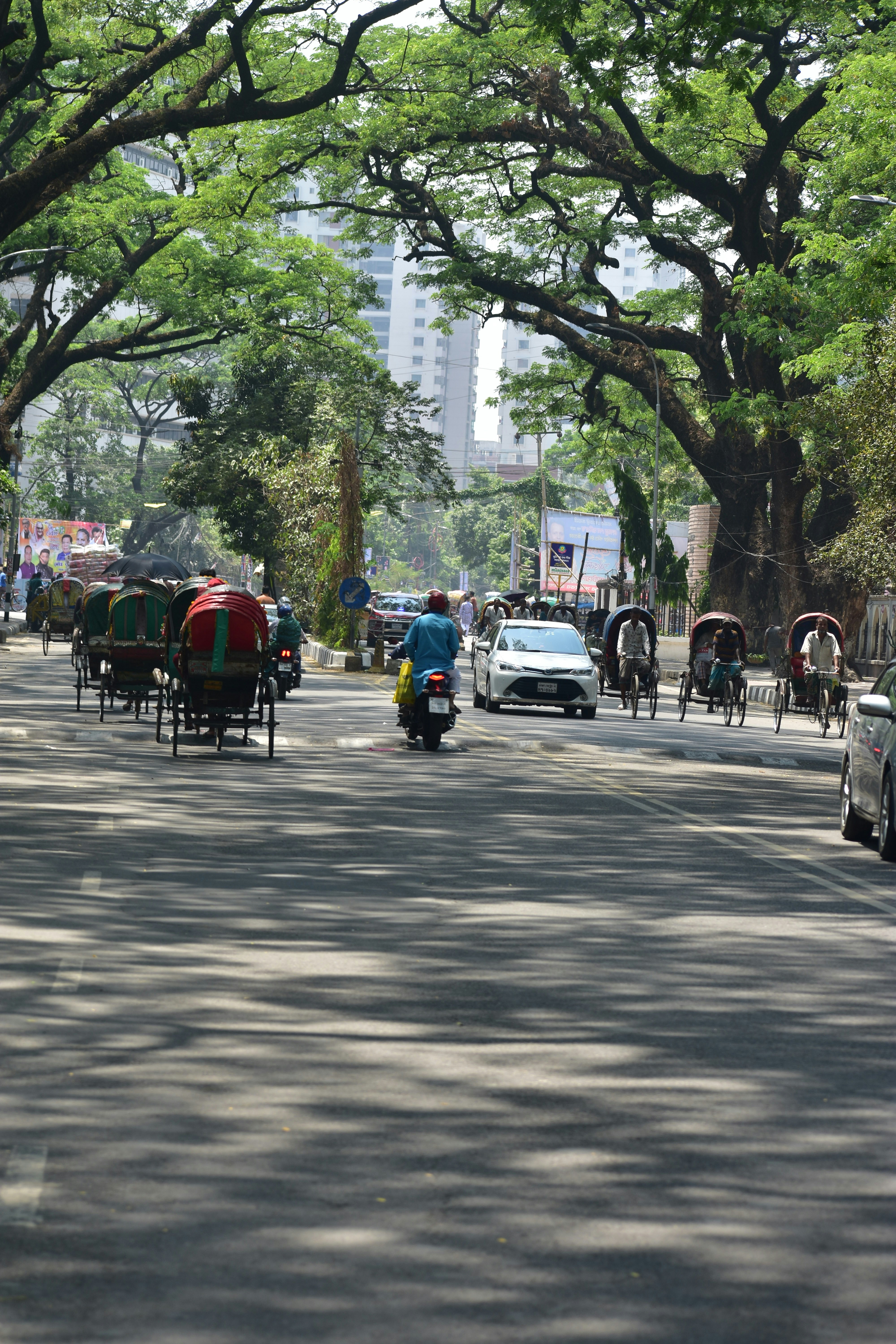 Rickshaws and cars on a tree-lined city street.