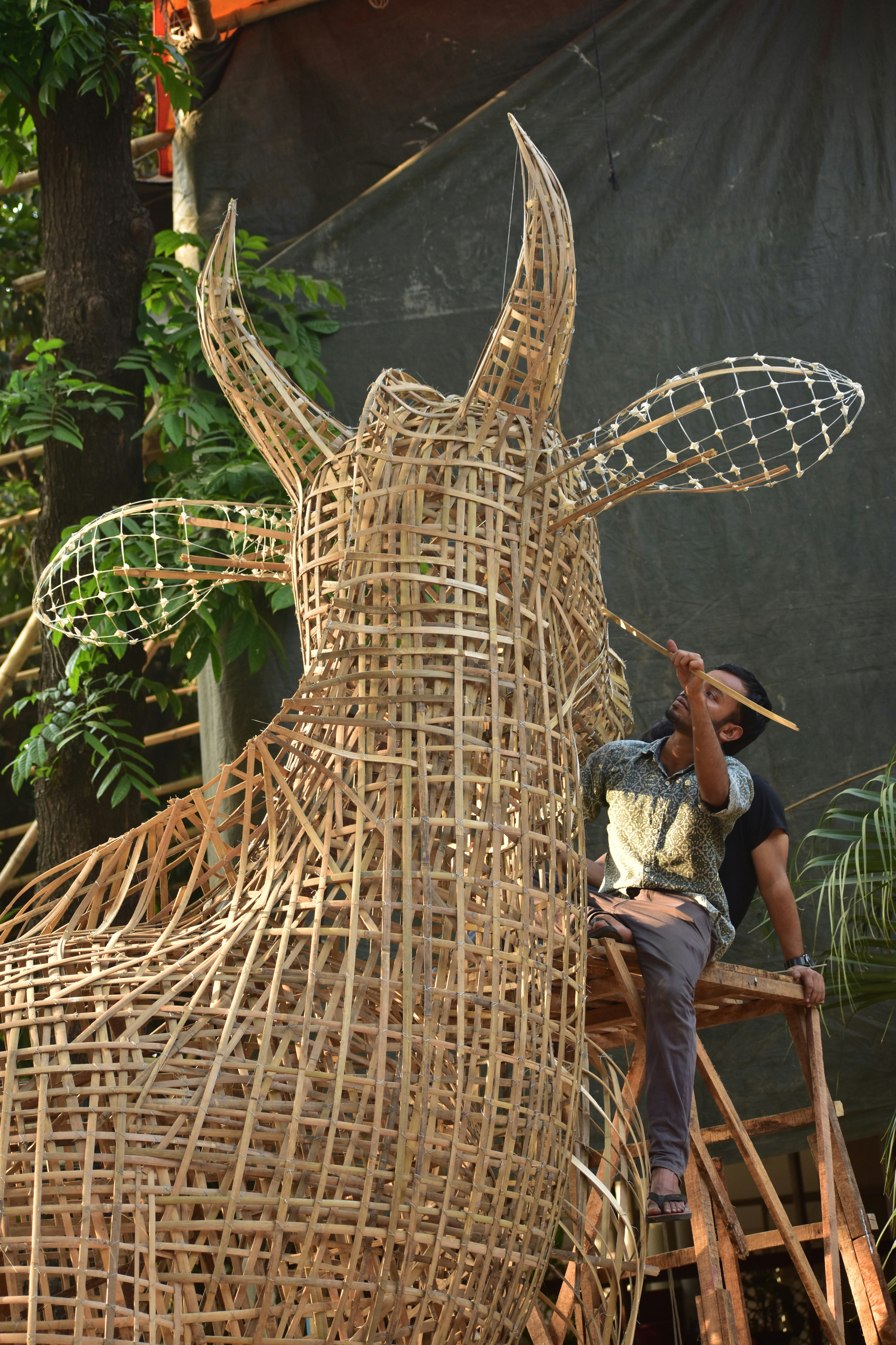 Man paints a large bamboo bull sculpture on a ladder.