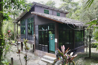 A rustic wooden cabin nestled in lush green jungle surroundings.
