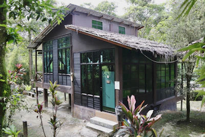 A rustic wooden cabin nestled in lush green jungle surroundings.