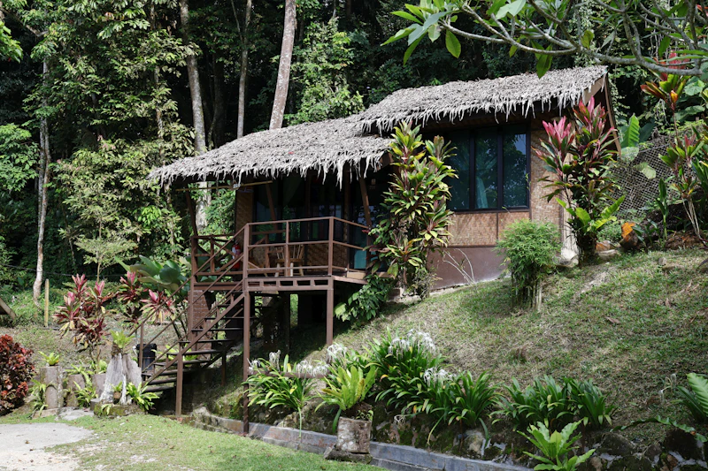 Small raised cabin in a lush tropical garden