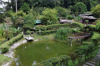 Lush green garden with a pond and wooden decks.