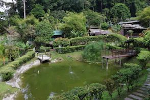 Lush green garden with a pond and wooden decks.