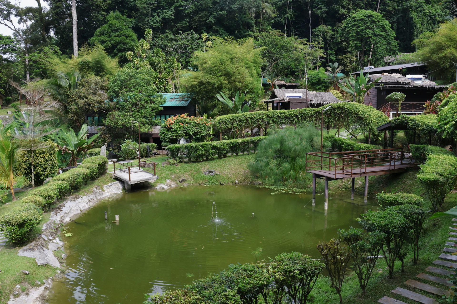Lush green garden with a pond and wooden decks.