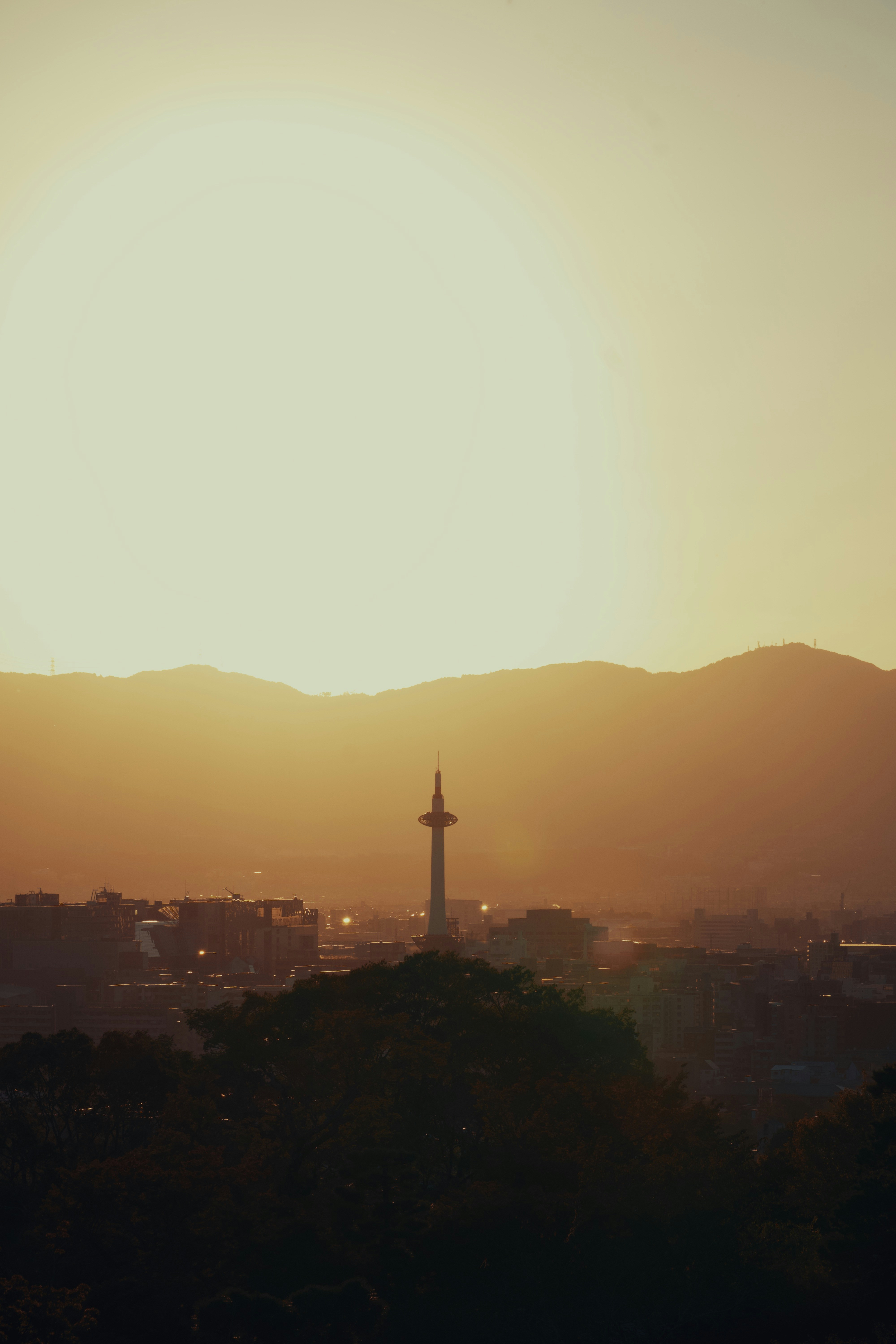 Photo by mahesh_ranaweera