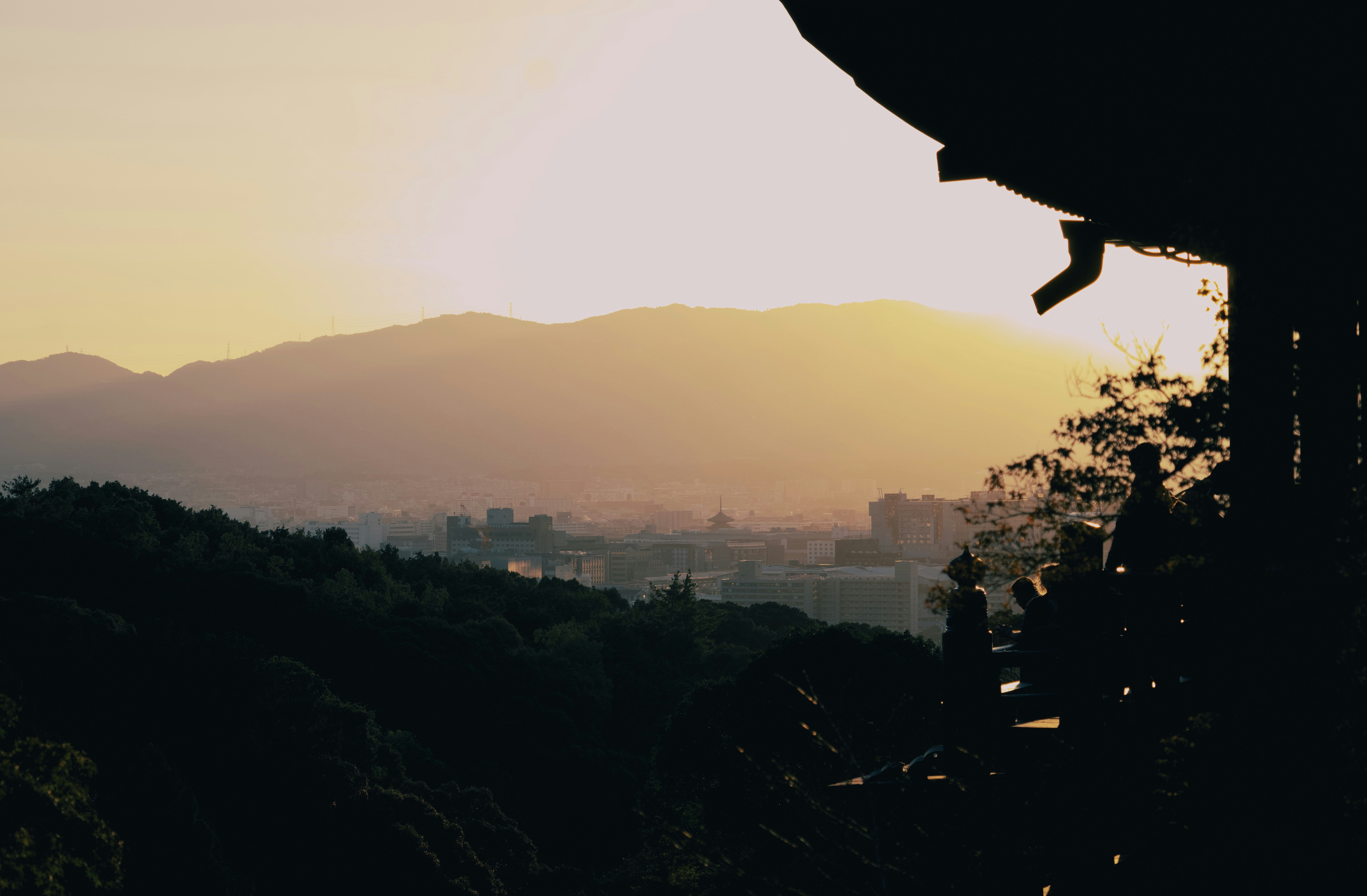 Photo by mahesh_ranaweera