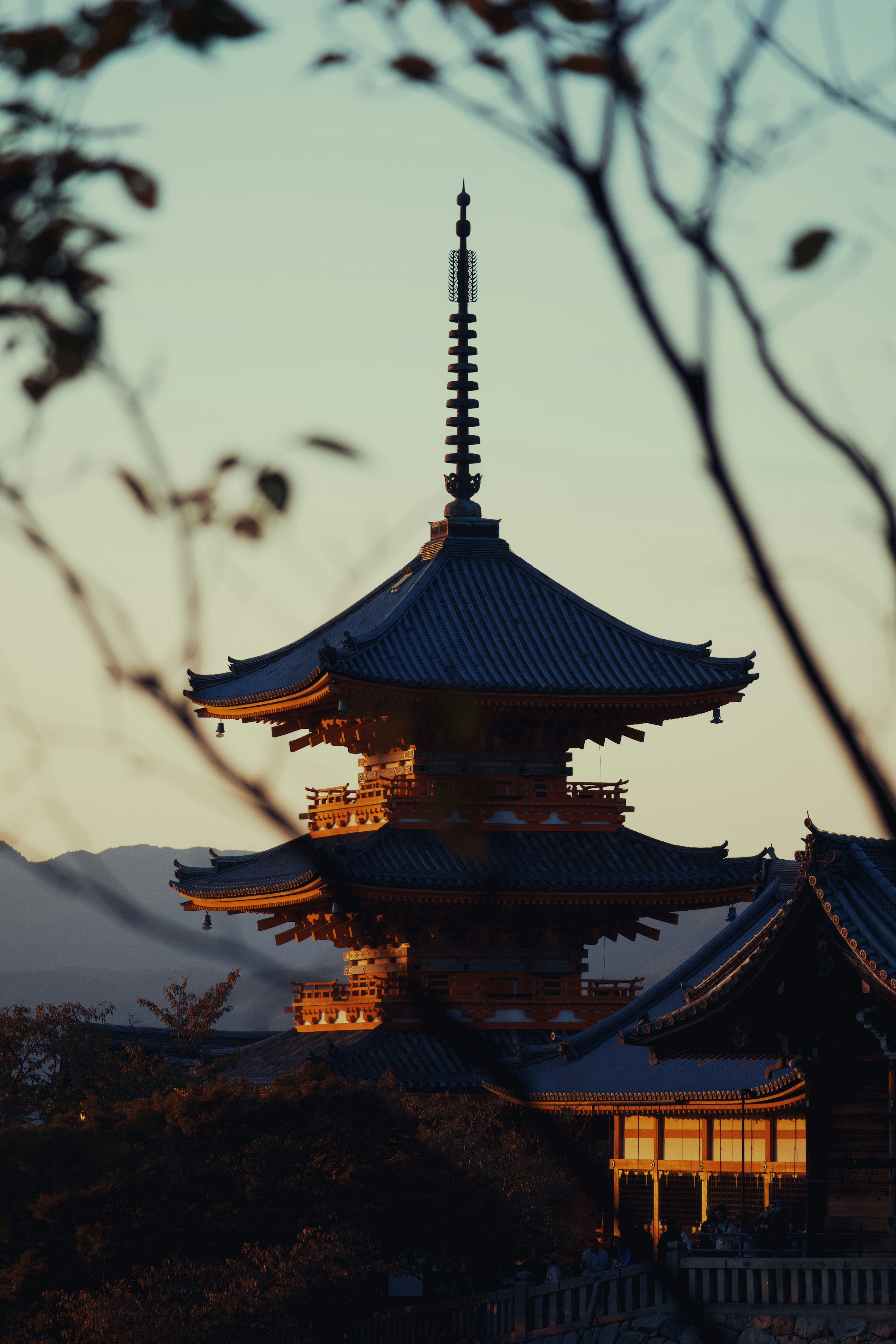 Photo by mahesh_ranaweera