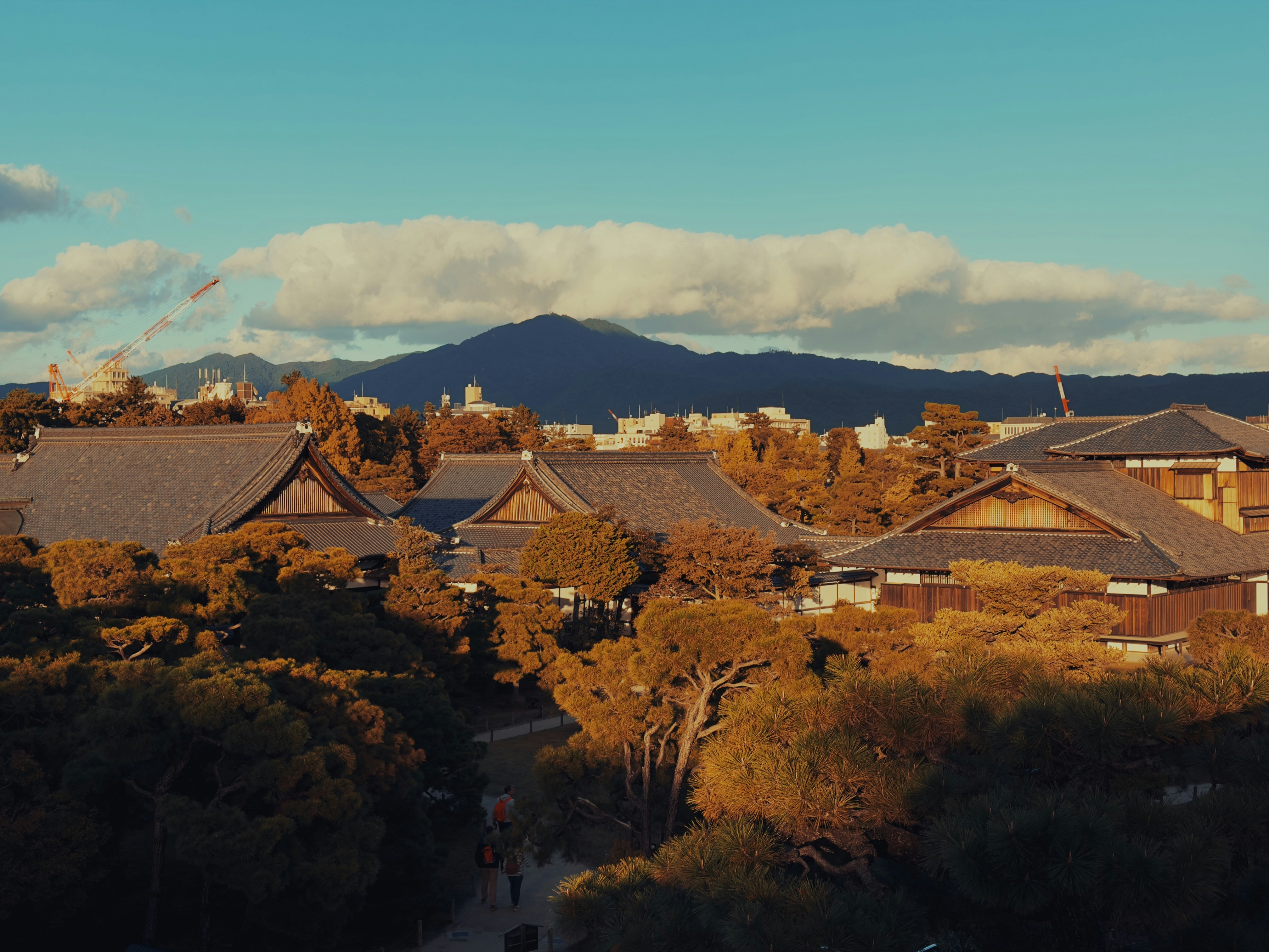 本振袖（大振袖）– 京友禅・手描き仕上げ