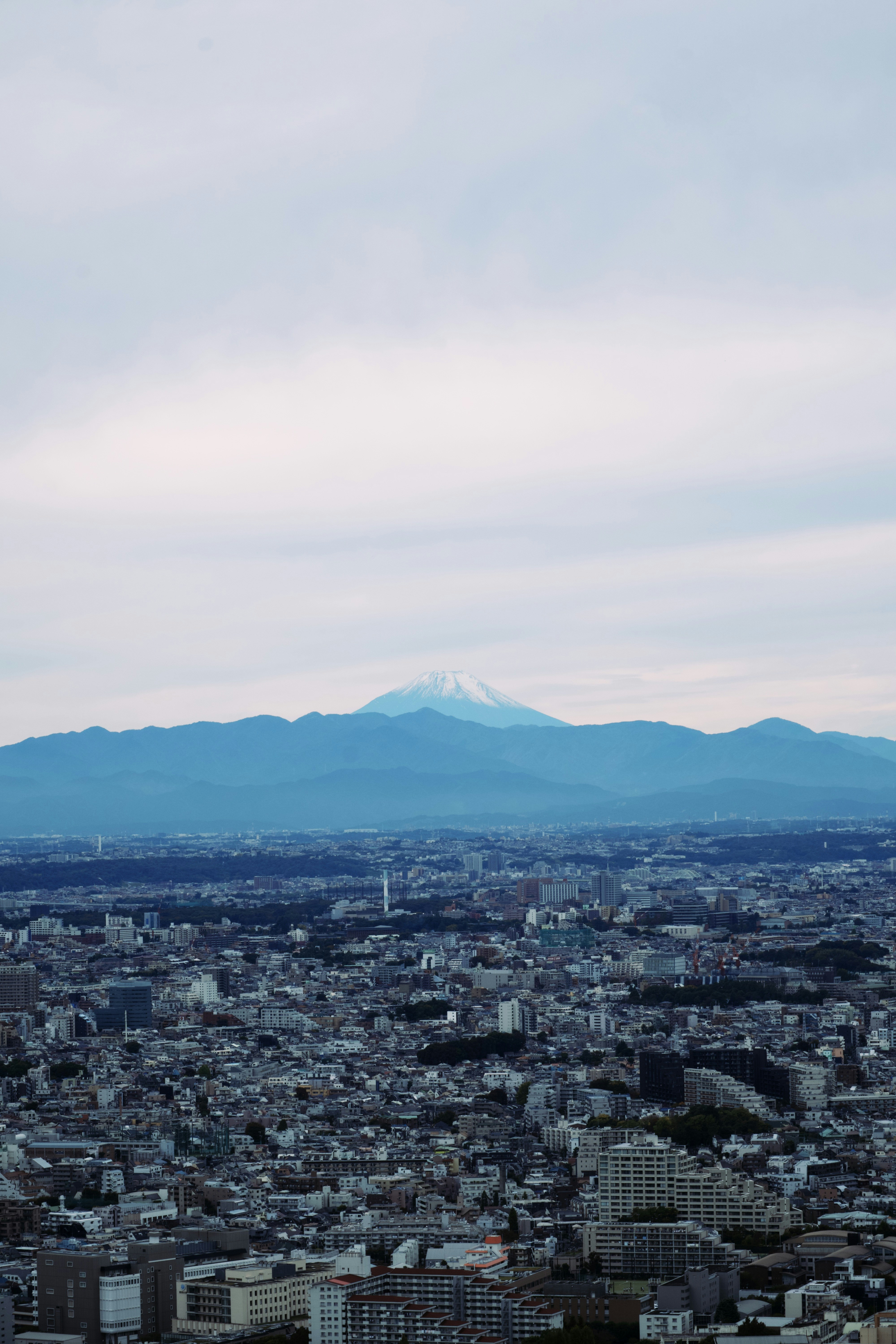 Distant snow-capped mountain above a sprawling city.