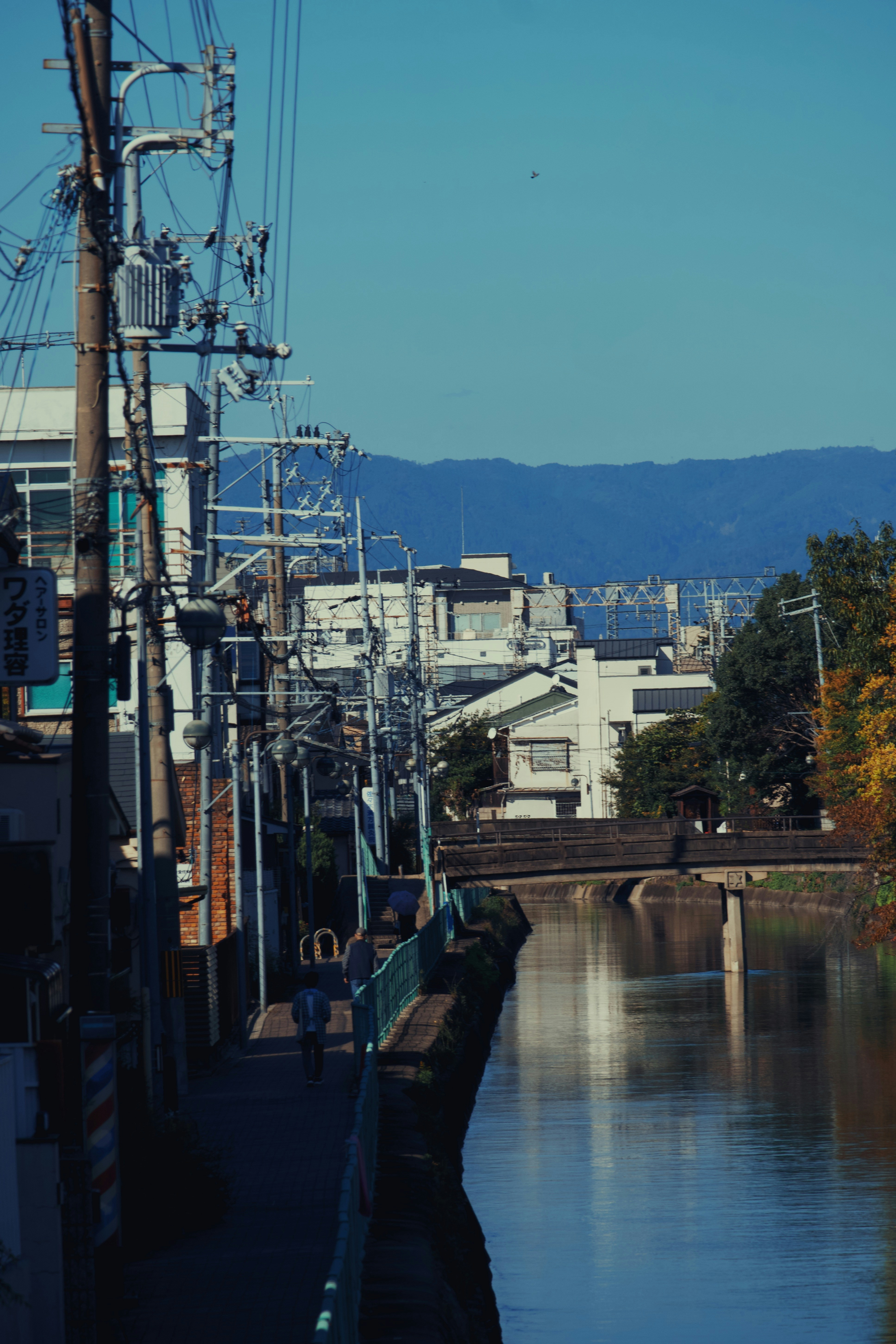 Photo by mahesh_ranaweera