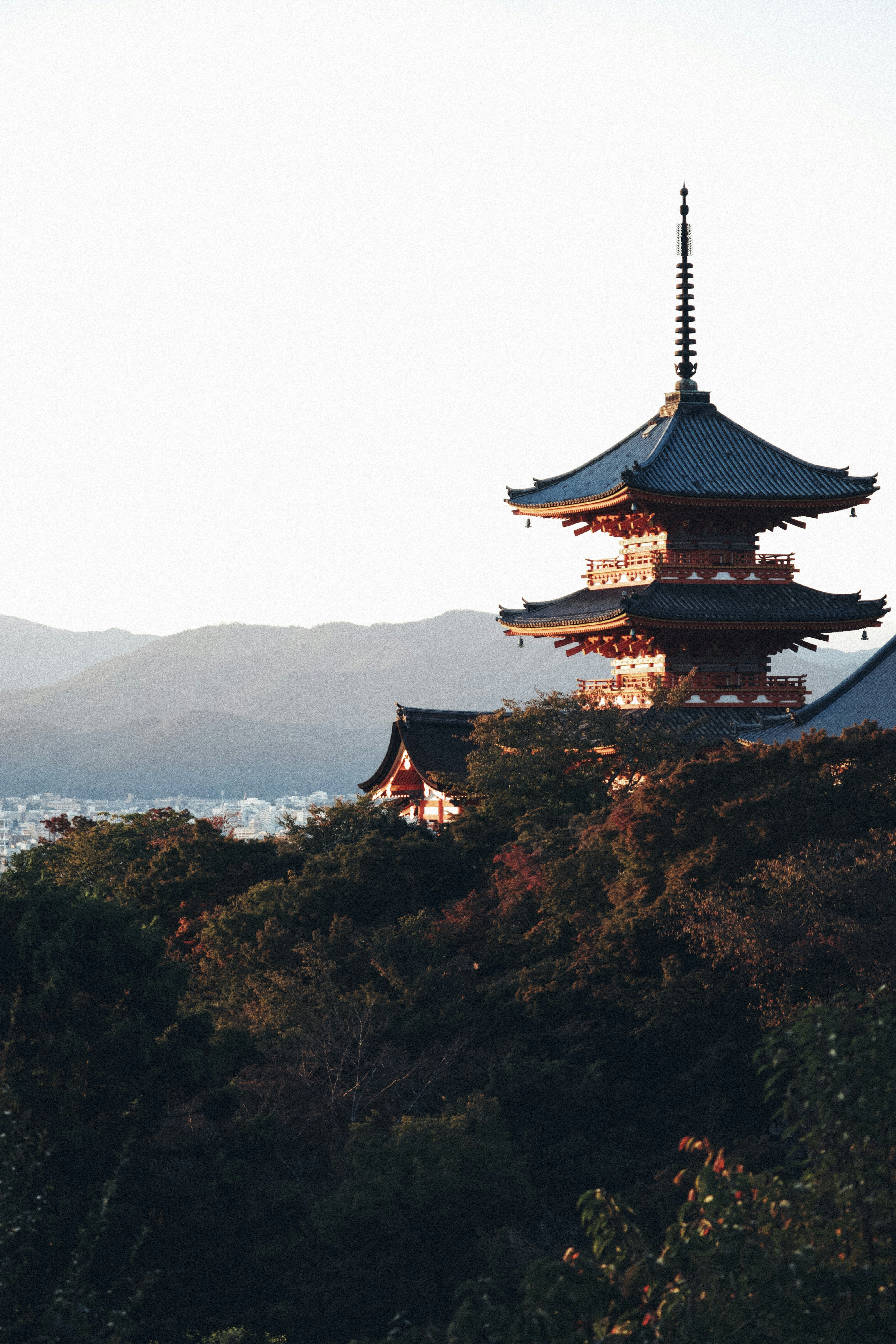 Japanese pagoda nestled among trees at sunset