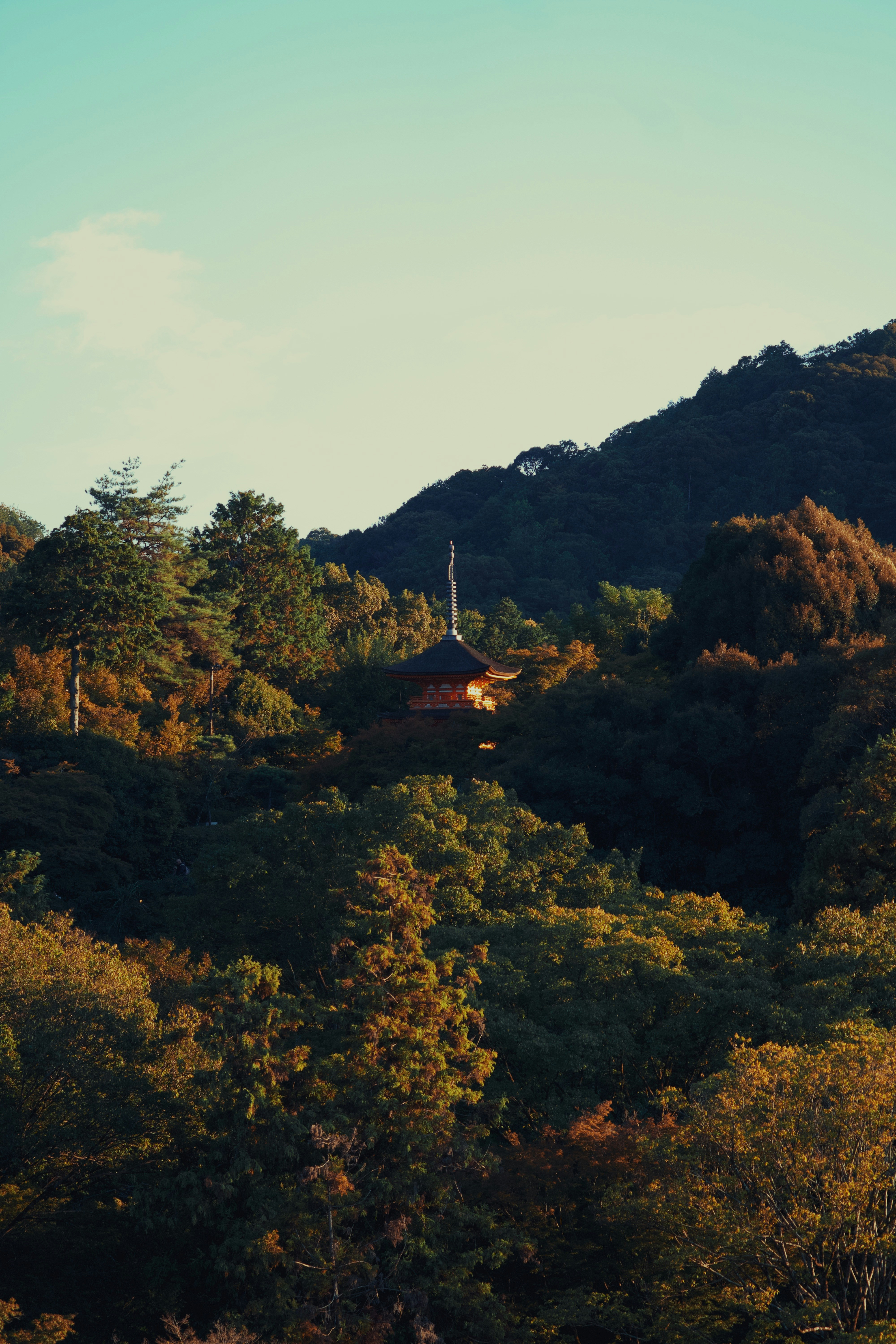 Photo by mahesh_ranaweera